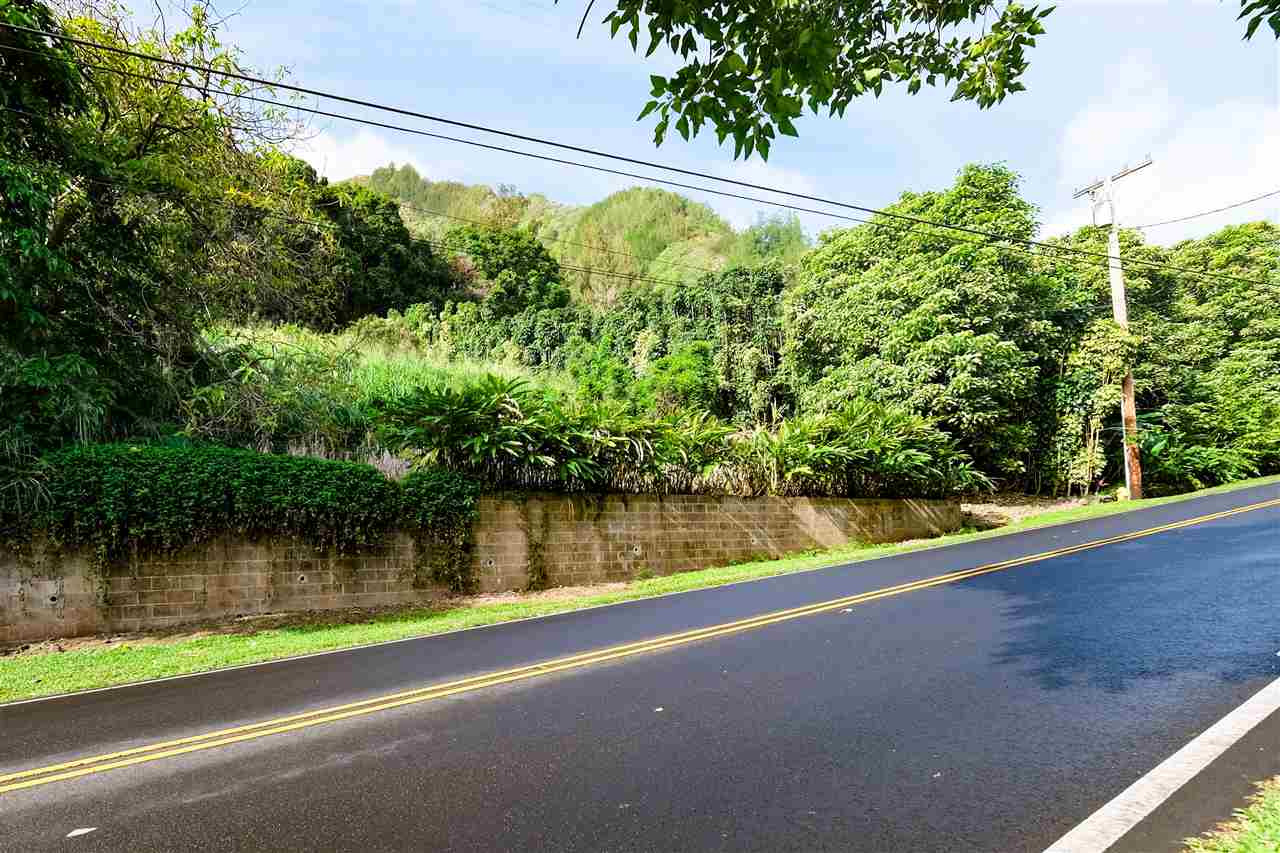 561 Iao Valley Rd Lot 3 Wailuku, Hi vacant land for sale - photo 3 of 20