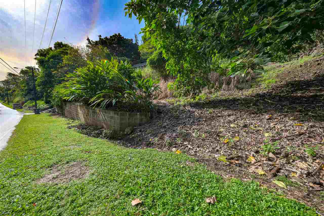 561 Iao Valley Rd Lot 3 Wailuku, Hi vacant land for sale - photo 4 of 20