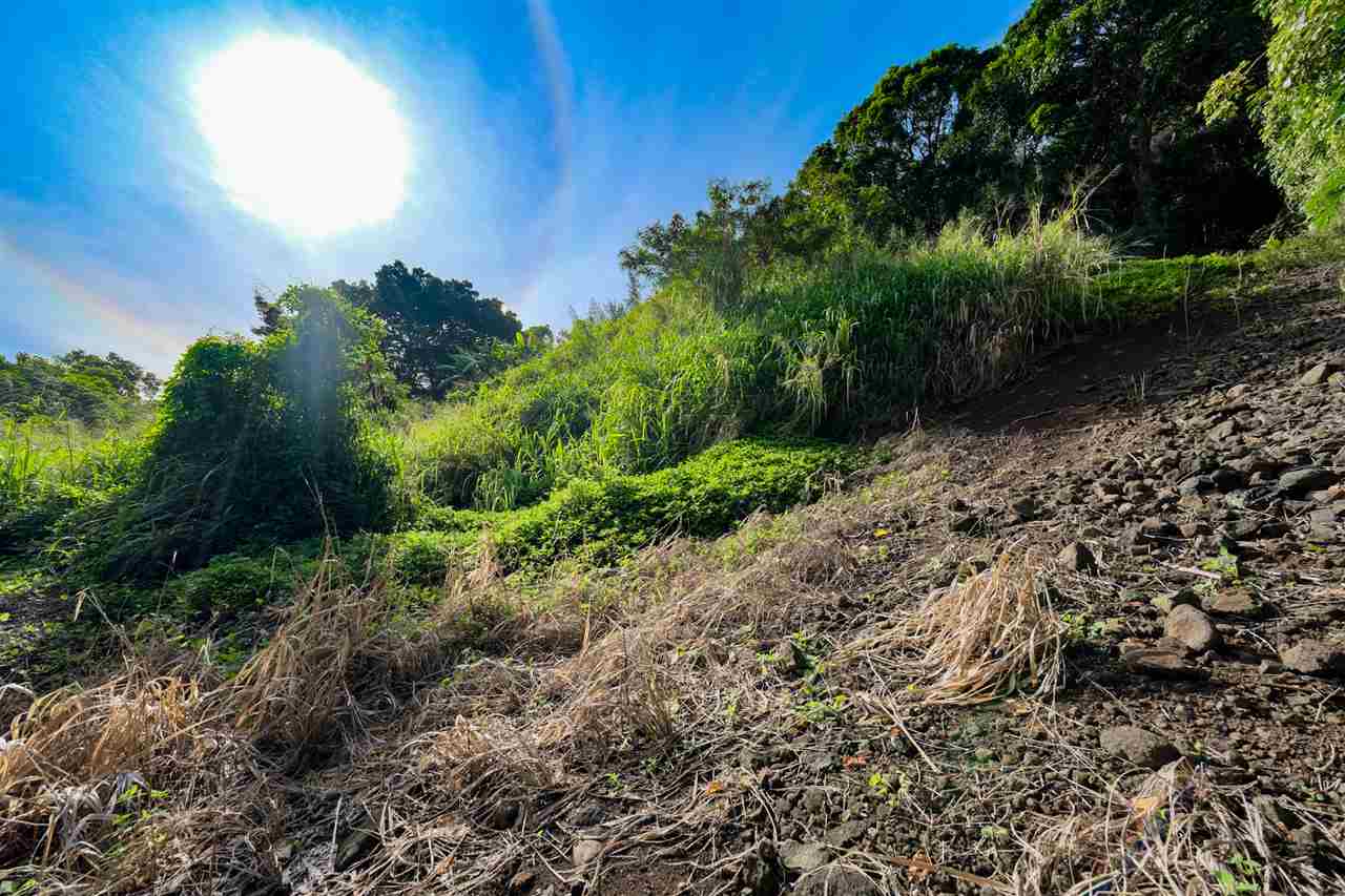 561 Iao Valley Rd Lot 3 Wailuku, Hi vacant land for sale - photo 8 of 20