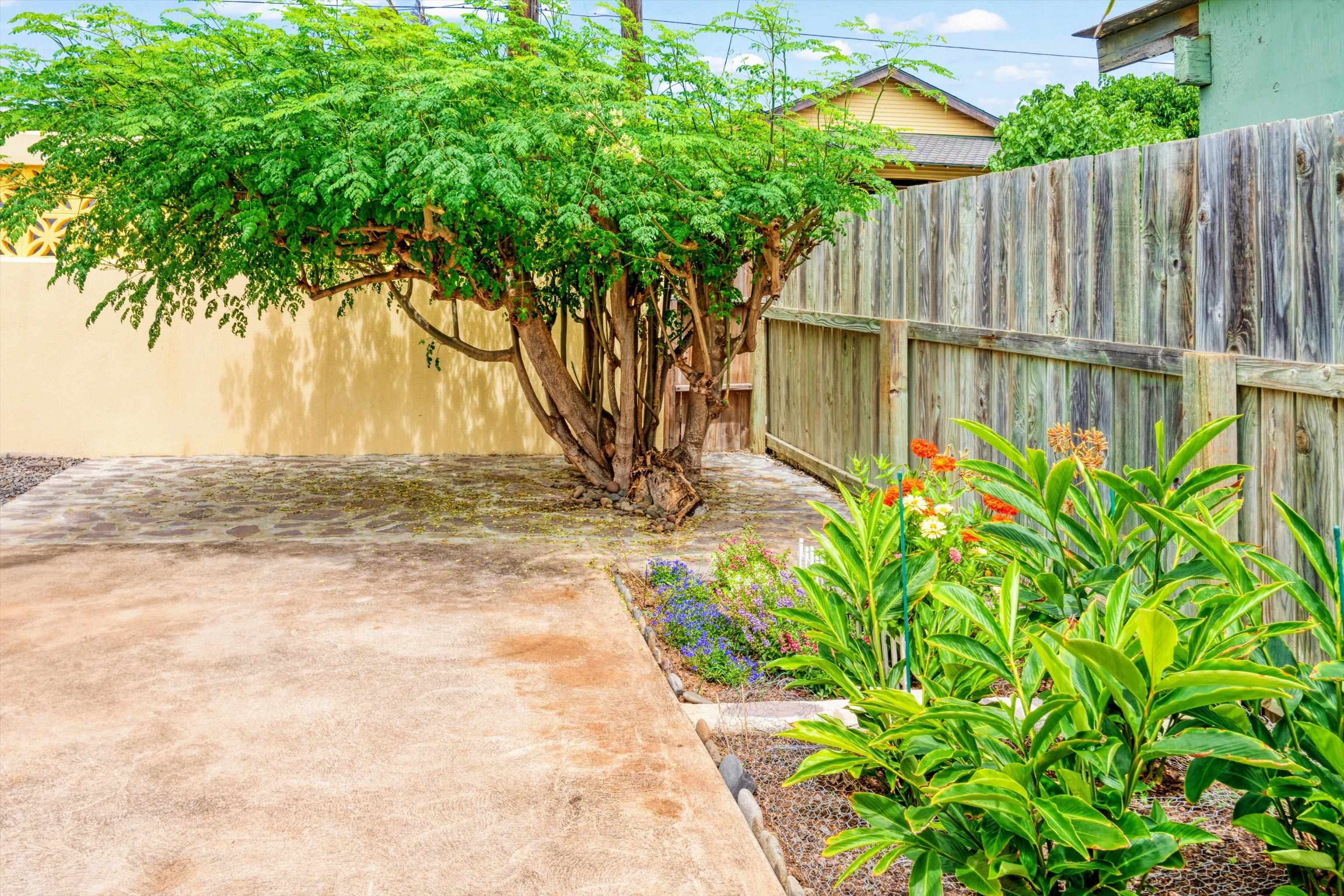 561  Kainalu Pl Paukukalo, Wailuku home - photo 42 of 47