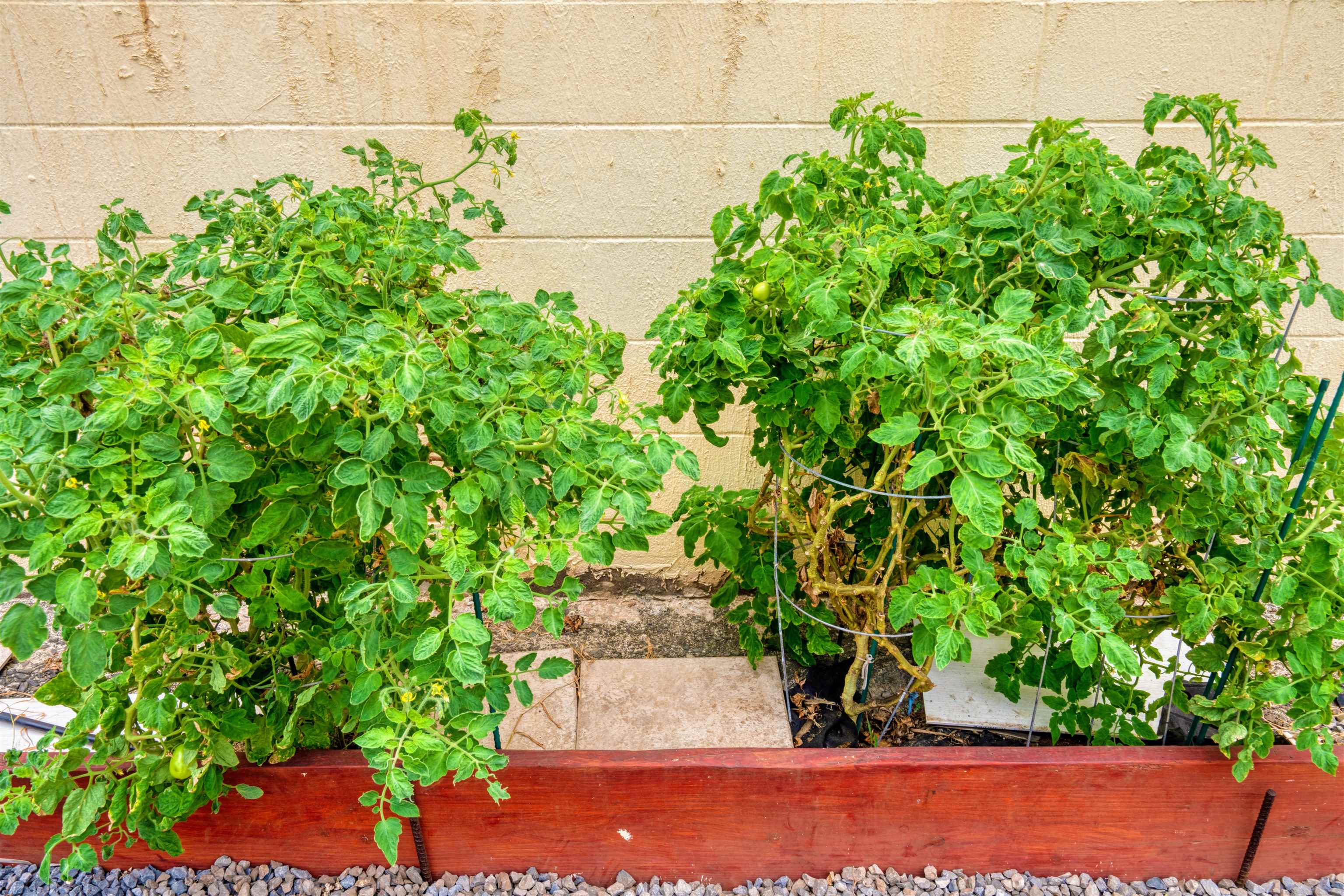 561  Kainalu Pl Paukukalo, Wailuku home - photo 41 of 47
