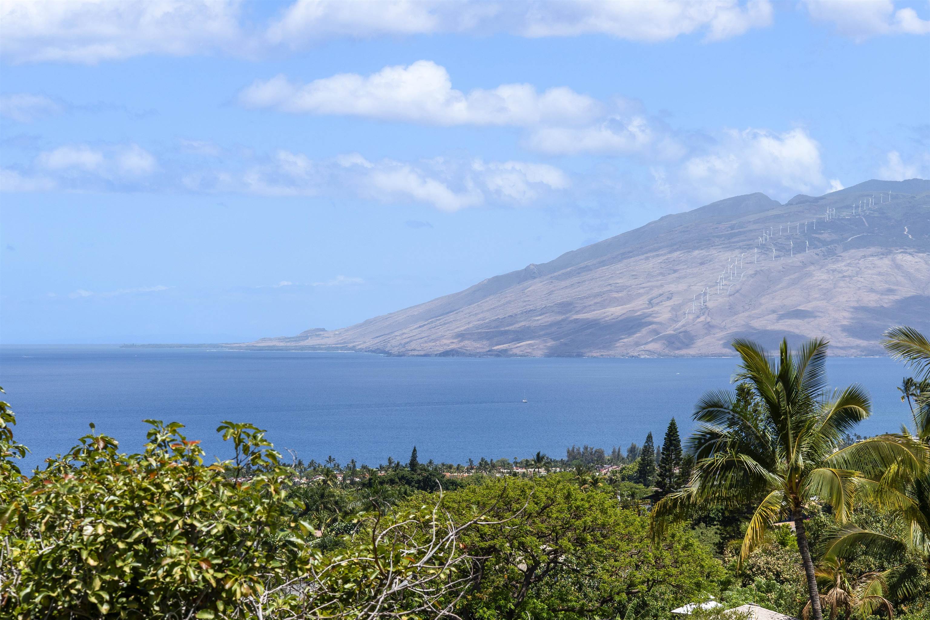 561  Kaleo Dr , Maui Meadows home - photo 30 of 33