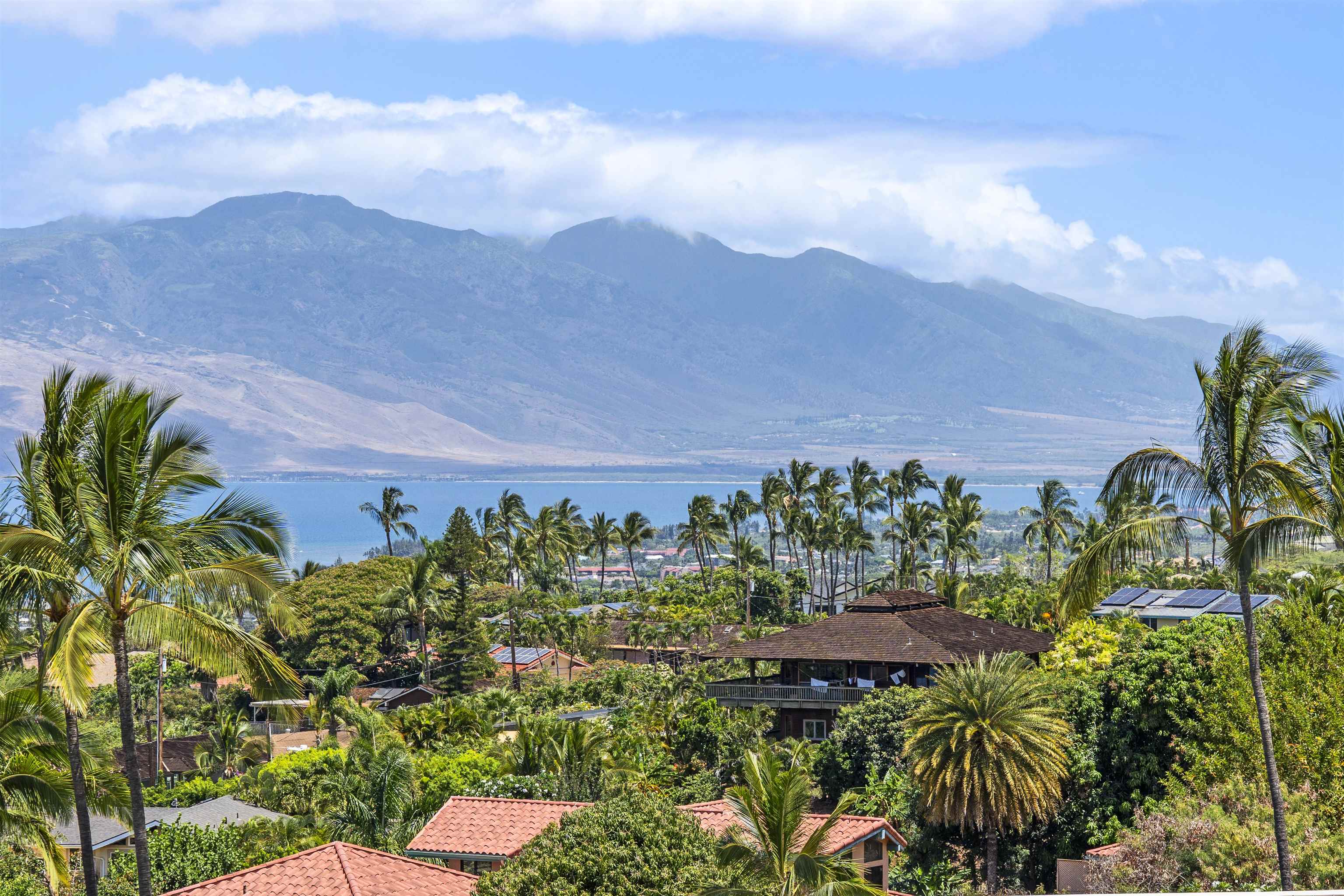 561  Kaleo Dr , Maui Meadows home - photo 31 of 33