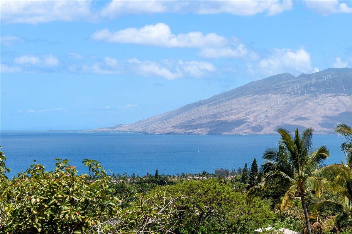 561  Kaleo Pl Maui Meadows, Maui Meadows home - photo 3 of 36