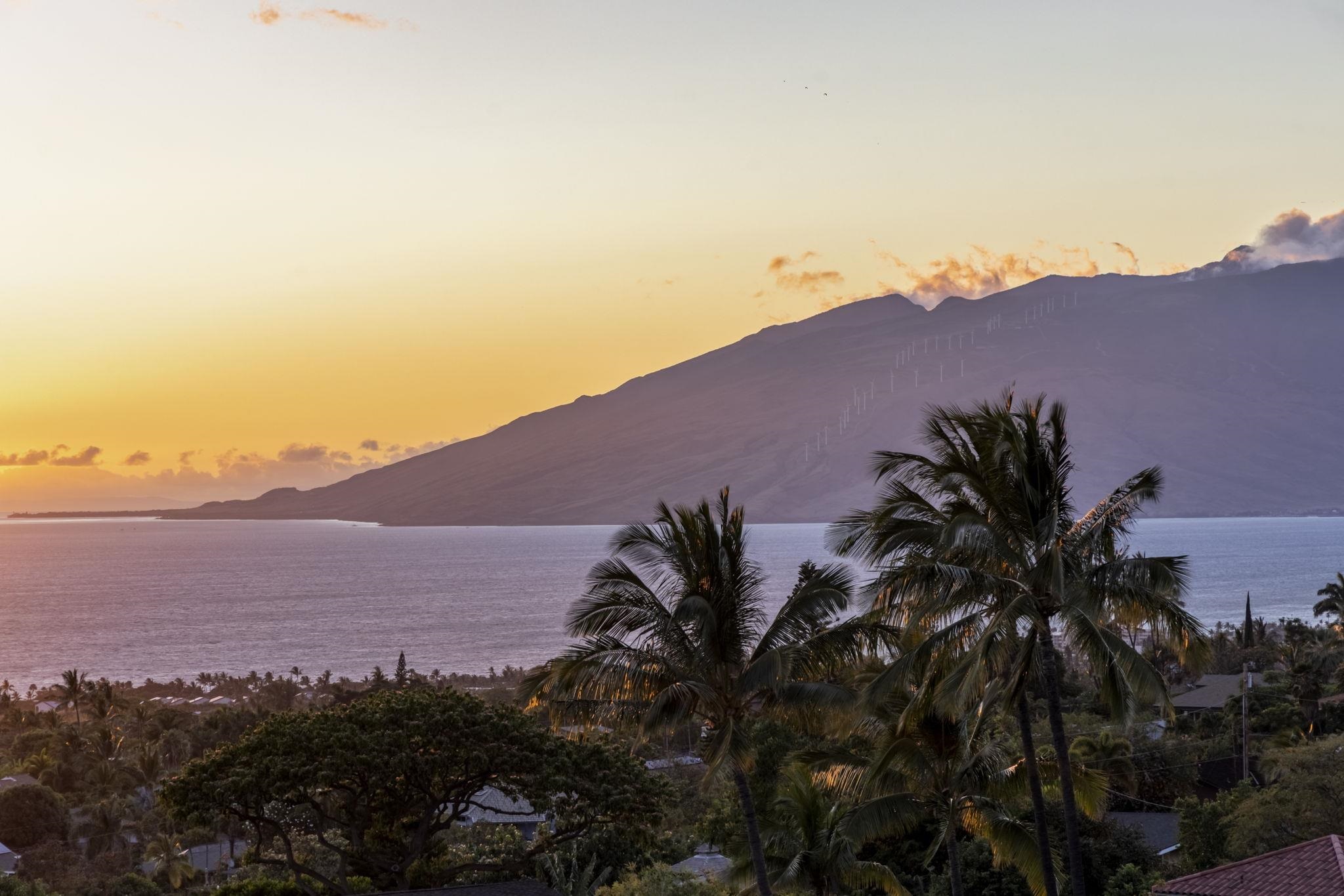 561  Kaleo Pl Maui Meadows, Maui Meadows home - photo 28 of 36