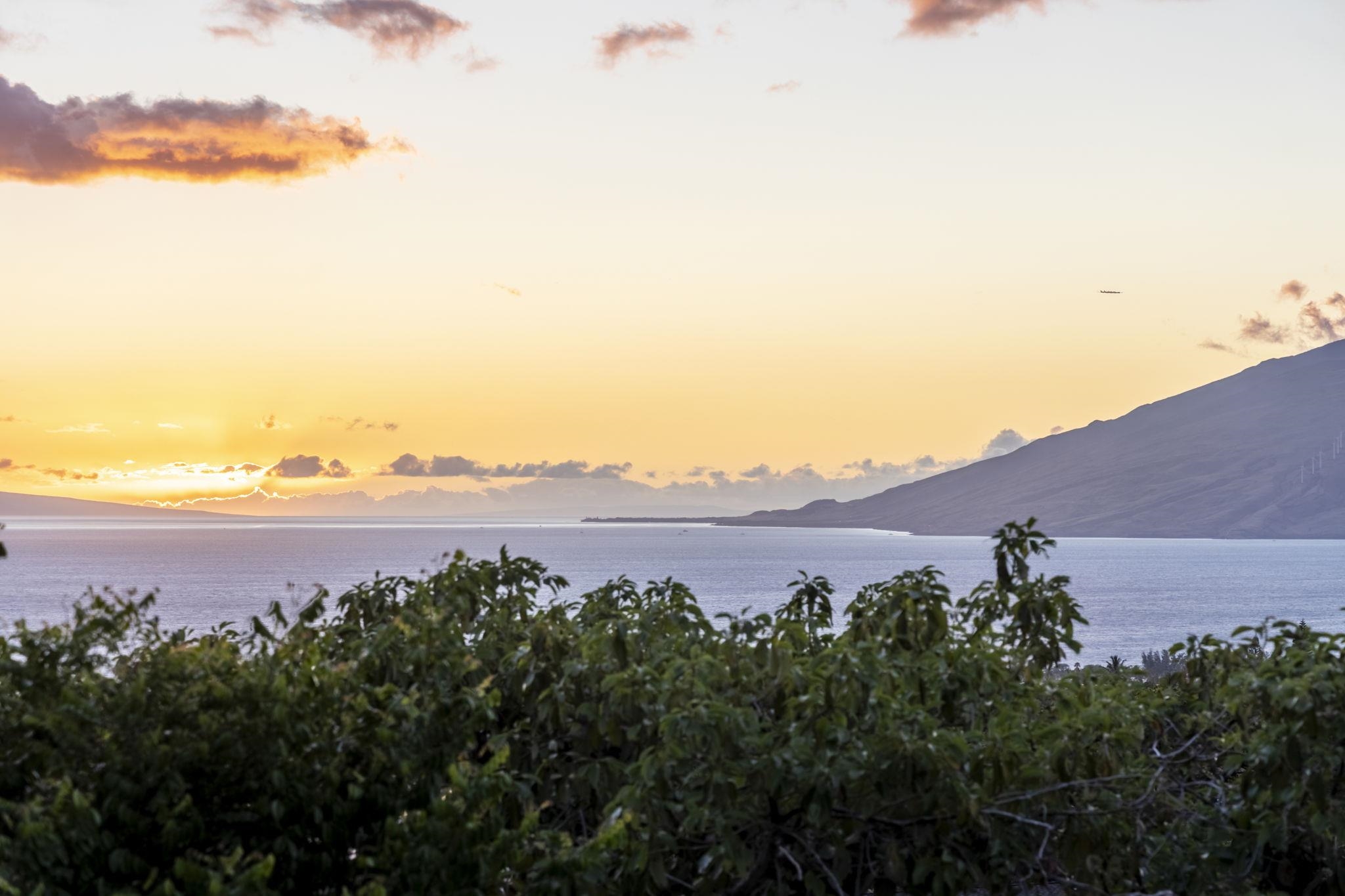 561  Kaleo Pl Maui Meadows, Maui Meadows home - photo 29 of 36