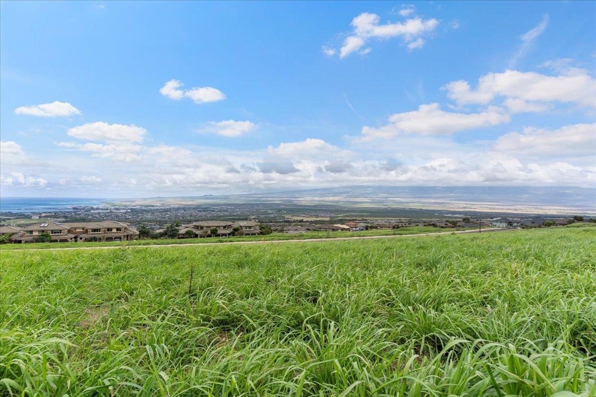 563 Kauna Lipo Dr Kehalani  - photo 4 of 12