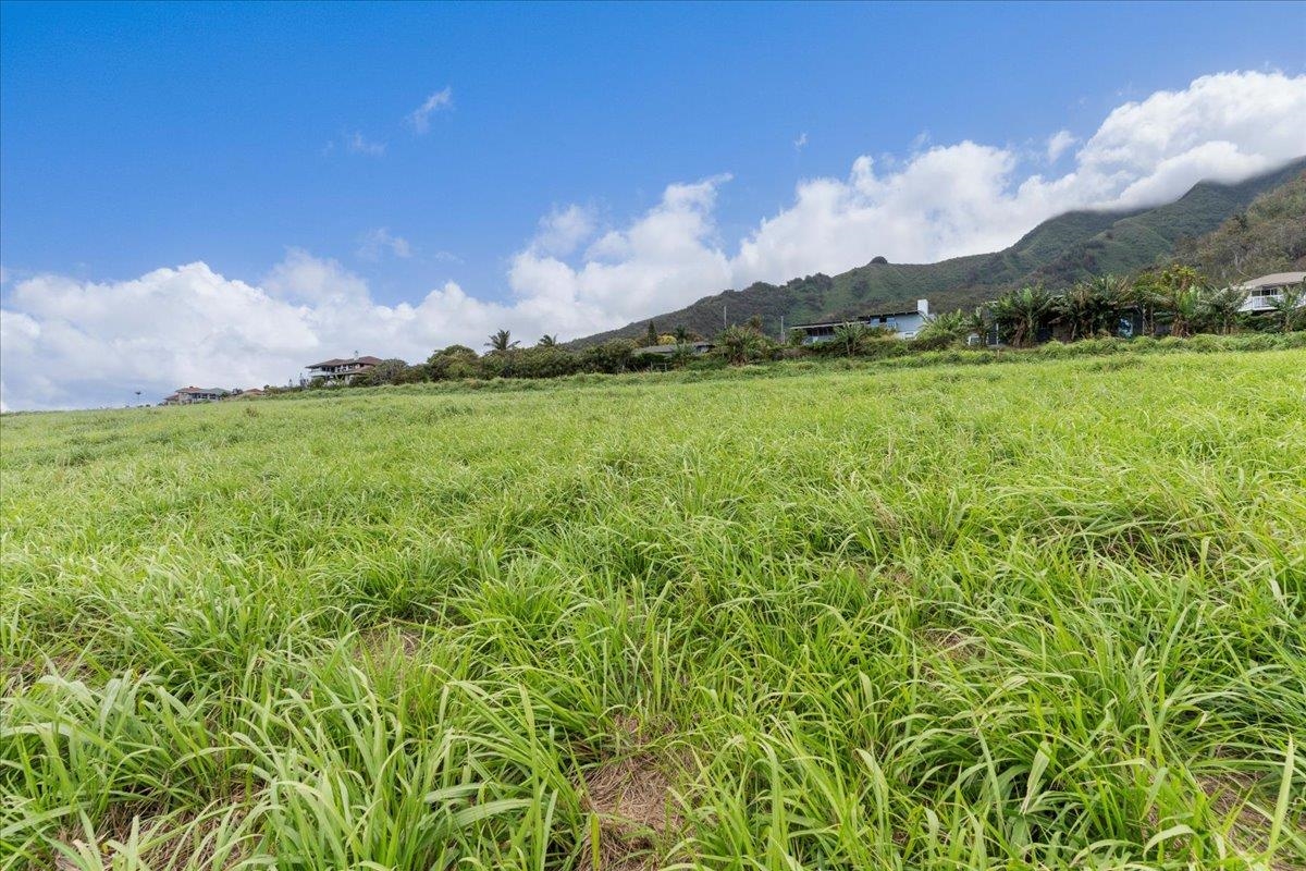 563 Kauna Lipo Dr Kehalani  - photo 7 of 12