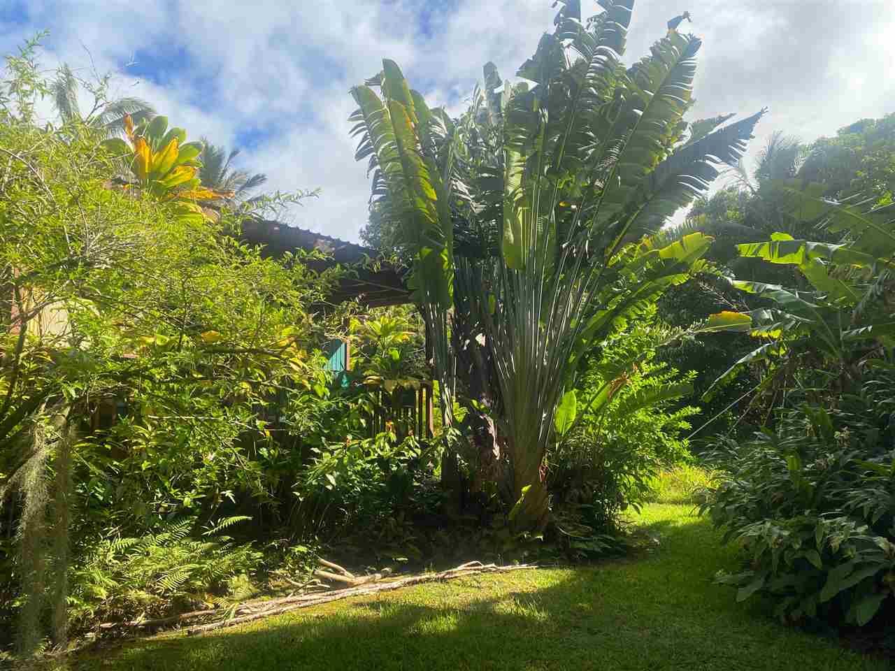 563  Kaupakalua Rd 5 Corners, Haiku home - photo 13 of 19