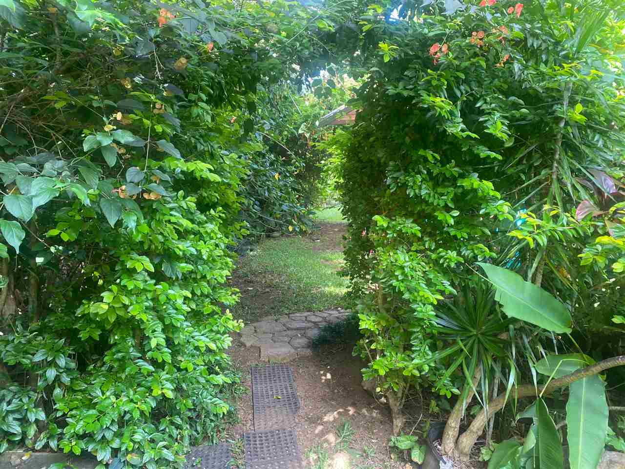 563  Kaupakalua Rd 5 Corners, Haiku home - photo 14 of 19