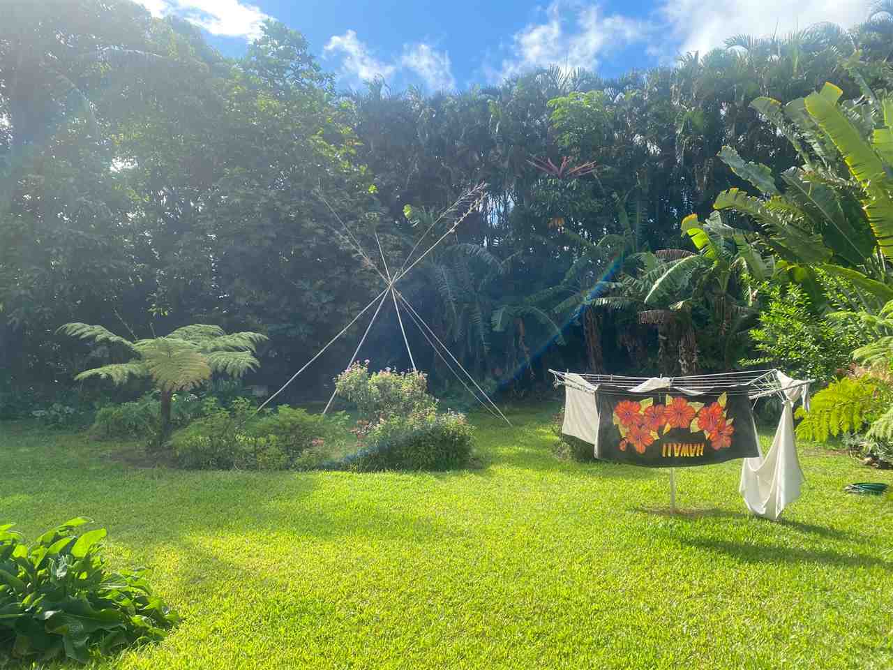 563  Kaupakalua Rd 5 Corners, Haiku home - photo 17 of 19