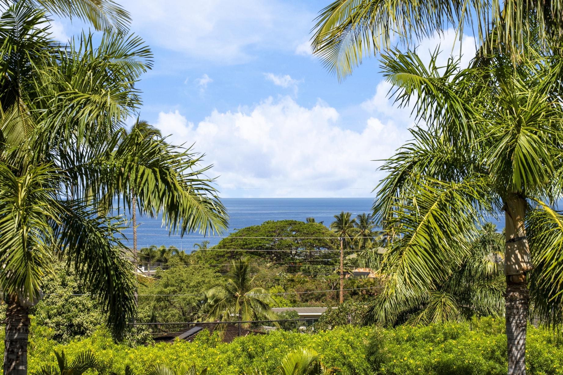 563  Mikioi Pl Kihei, Maui Meadows home - photo 34 of 50