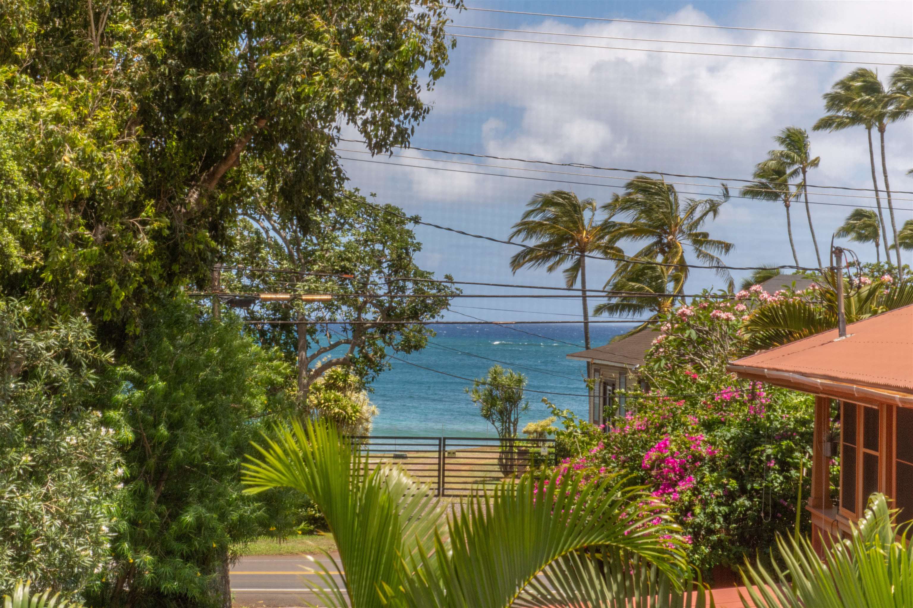 568  Hana Hwy Kuau, Spreckelsville/Paia/Kuau home - photo 3 of 50