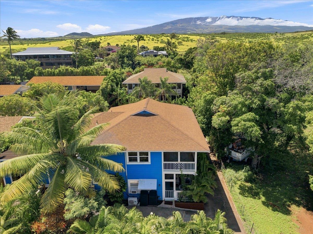 568  Hana Hwy Kuau, Spreckelsville/Paia/Kuau home - photo 46 of 50