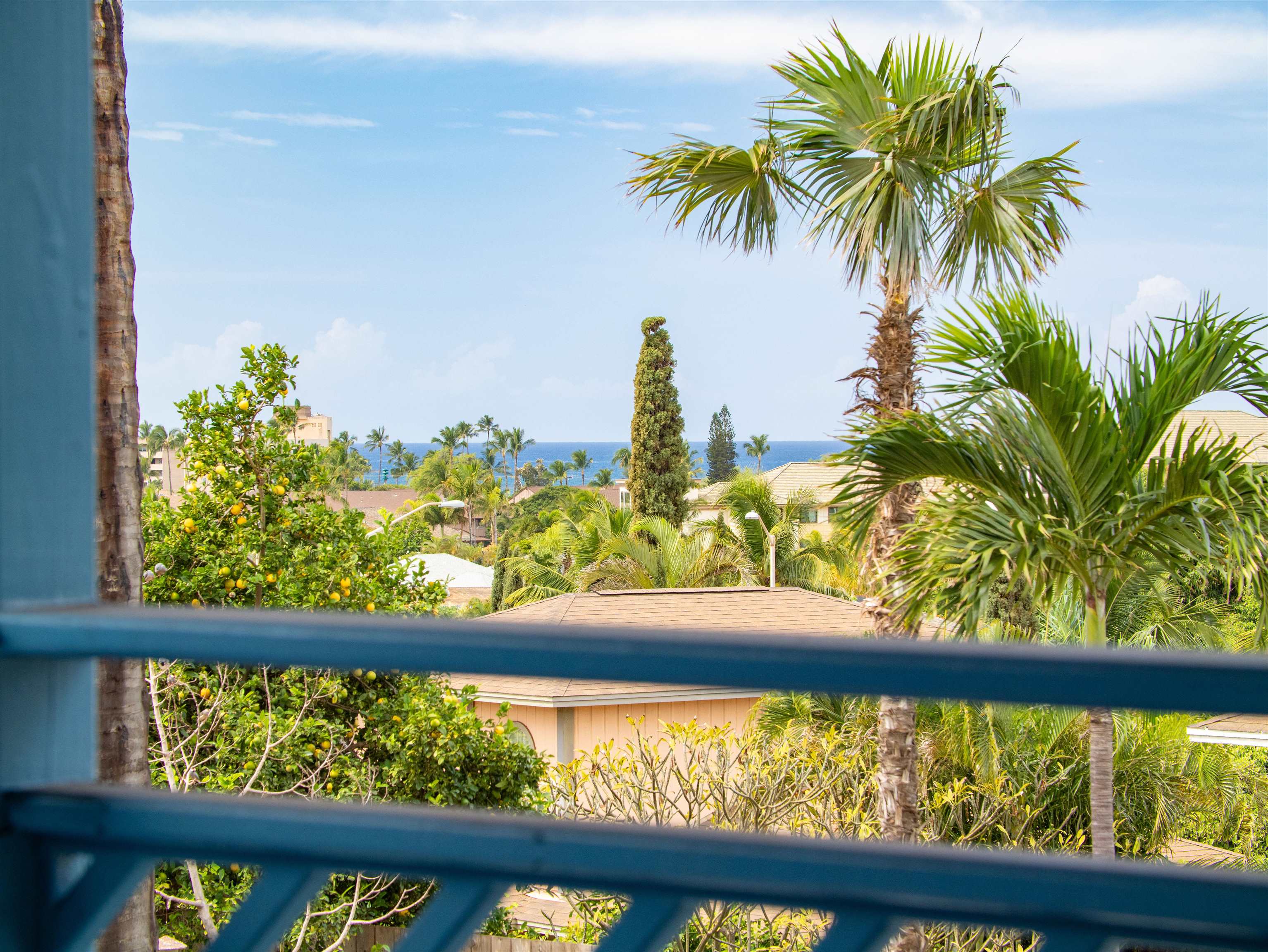 568  Kailoa St Kihei, Kihei home - photo 11 of 49