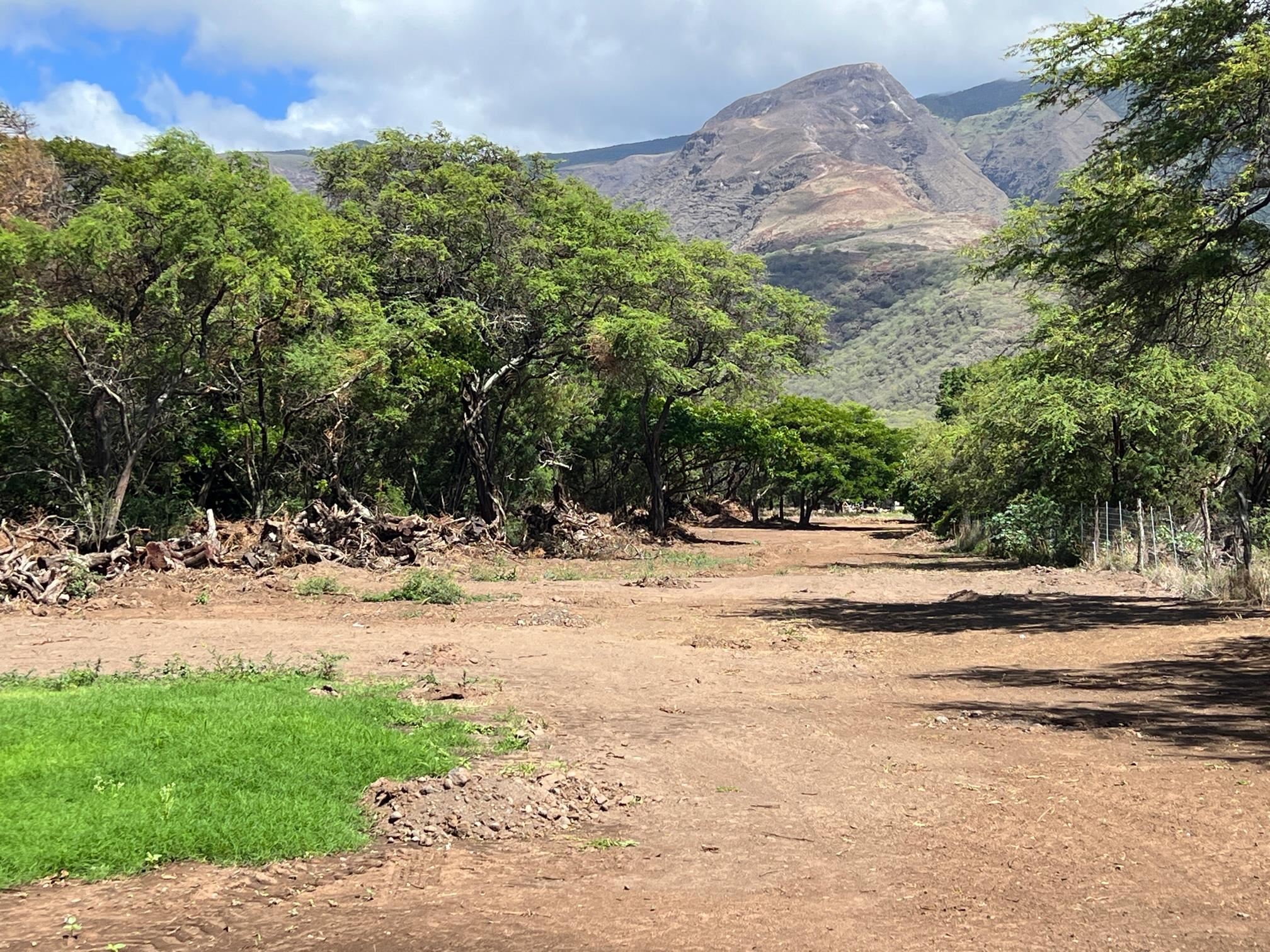 5757 Kamehameha V Hwy  Kaunakakai, Hi vacant land for sale - photo 2 of 10