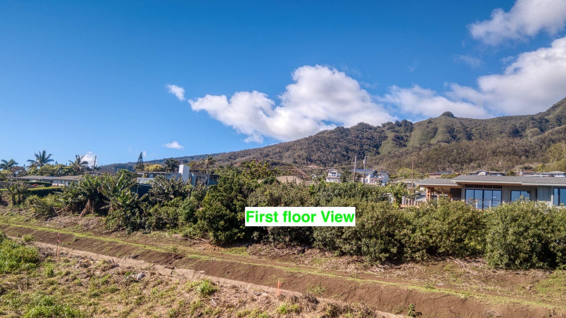 577 Kauna Lipo Dr  Wailuku, Hi vacant land for sale - photo 36 of 45