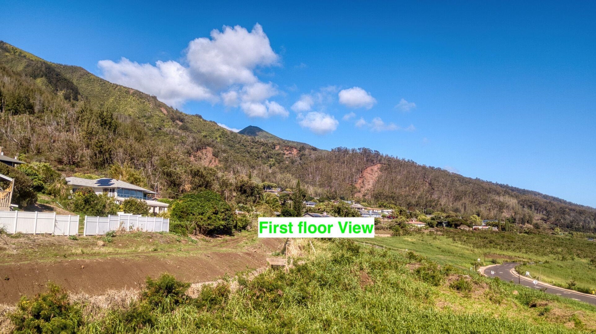 577 Kauna Lipo Dr  Wailuku, Hi vacant land for sale - photo 38 of 45