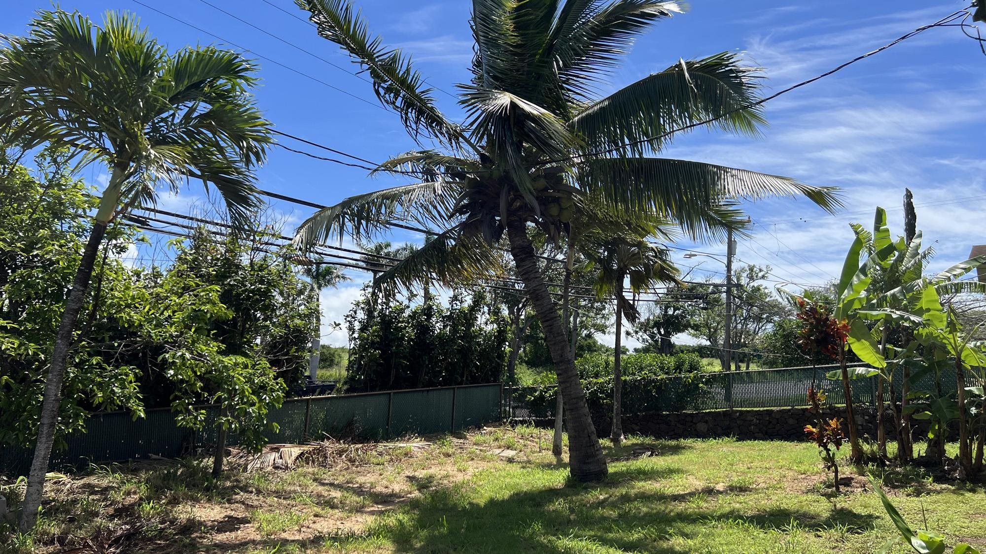 579  Kuanana St Upper Paia, Spreckelsville/Paia/Kuau home - photo 28 of 34