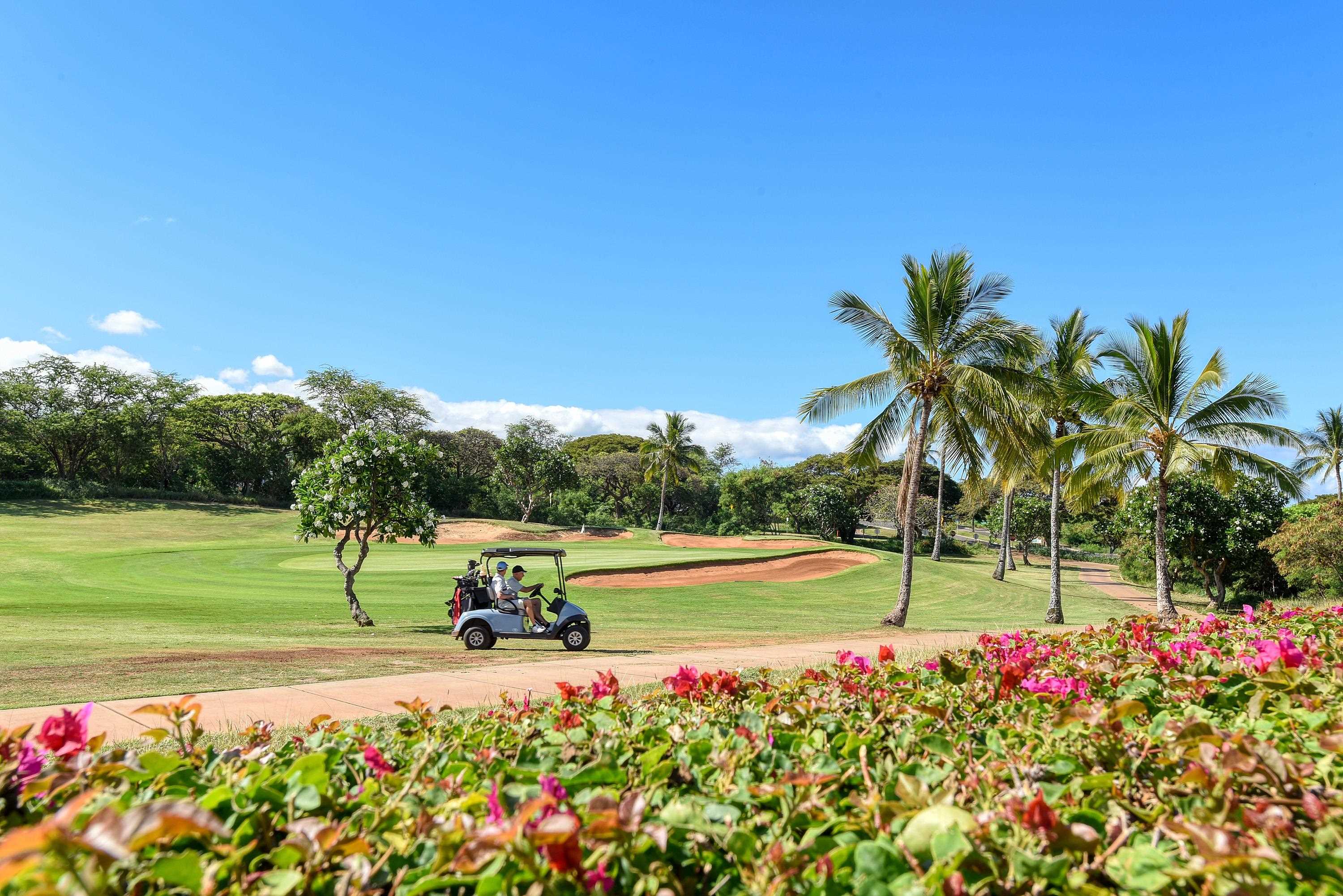 Hokulani Golf Villas condo # 3, Kihei, Hawaii - photo 5 of 34