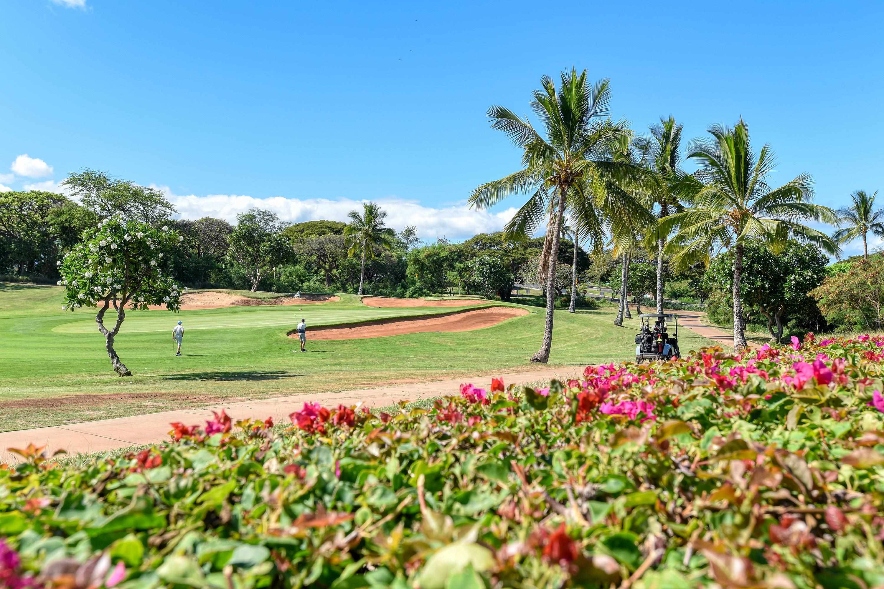 Hokulani Golf Villas condo # 3, Kihei, Hawaii - photo 6 of 34