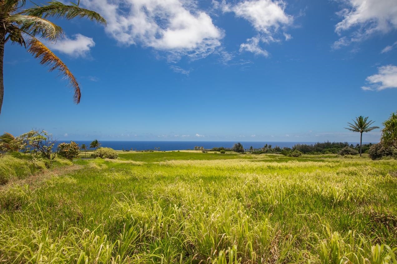 580 Kai Huki Cir B Haiku, Hi vacant land for sale - photo 11 of 12