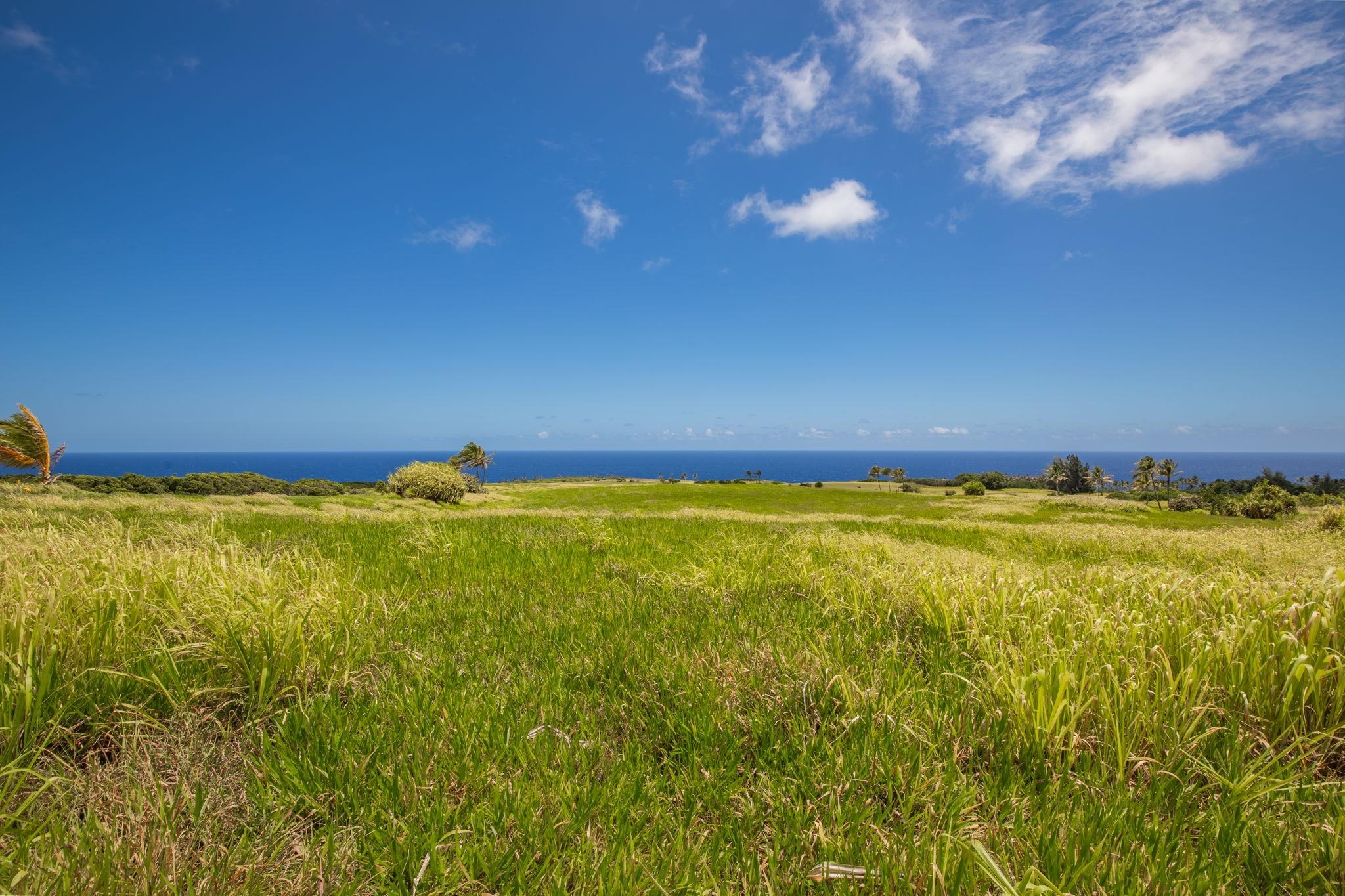 580 Kai Huki Cir B Haiku, Hi vacant land for sale - photo 6 of 12