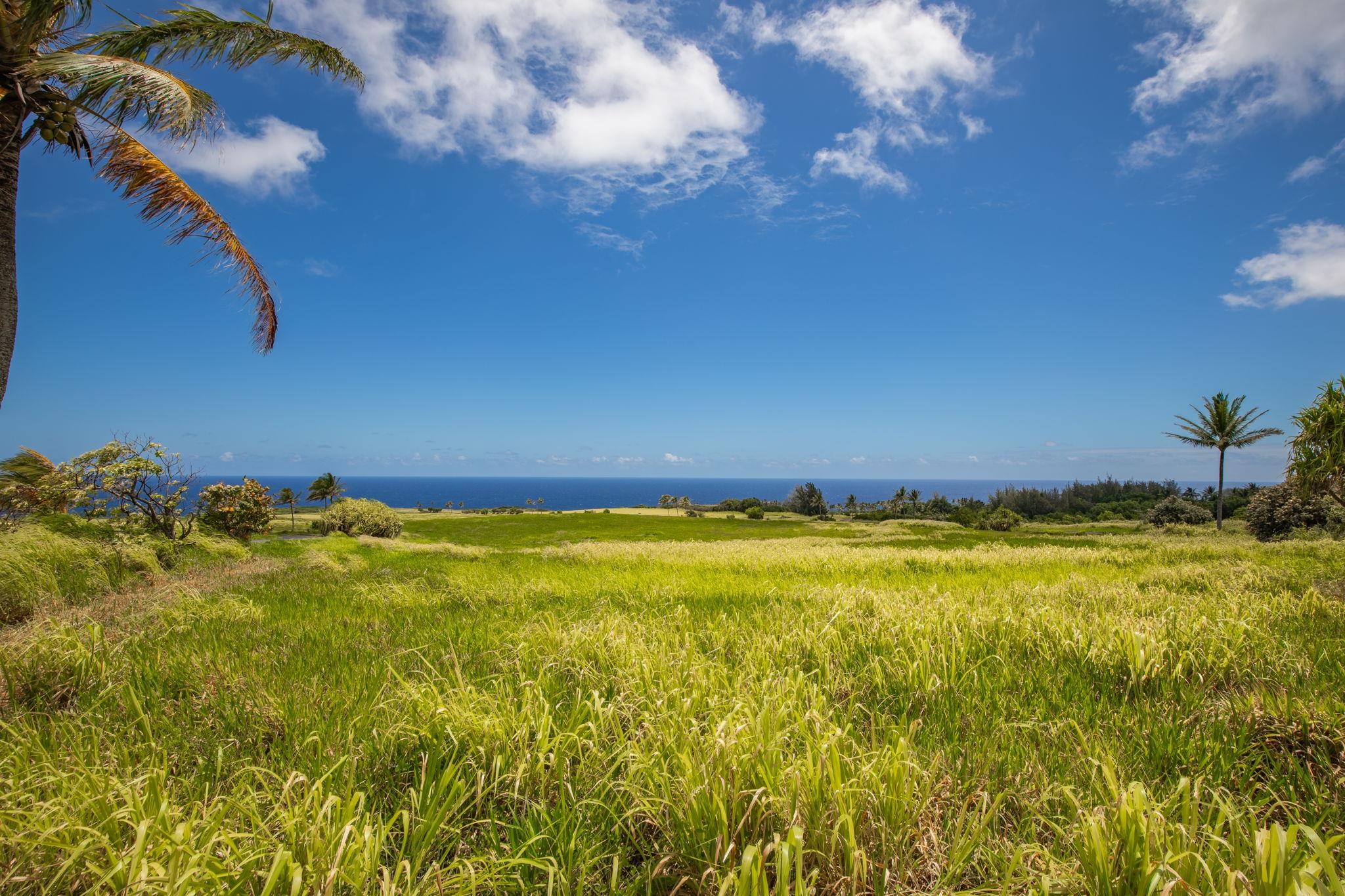 580 Kai Huki Cir B Haiku, Hi vacant land for sale - photo 7 of 12