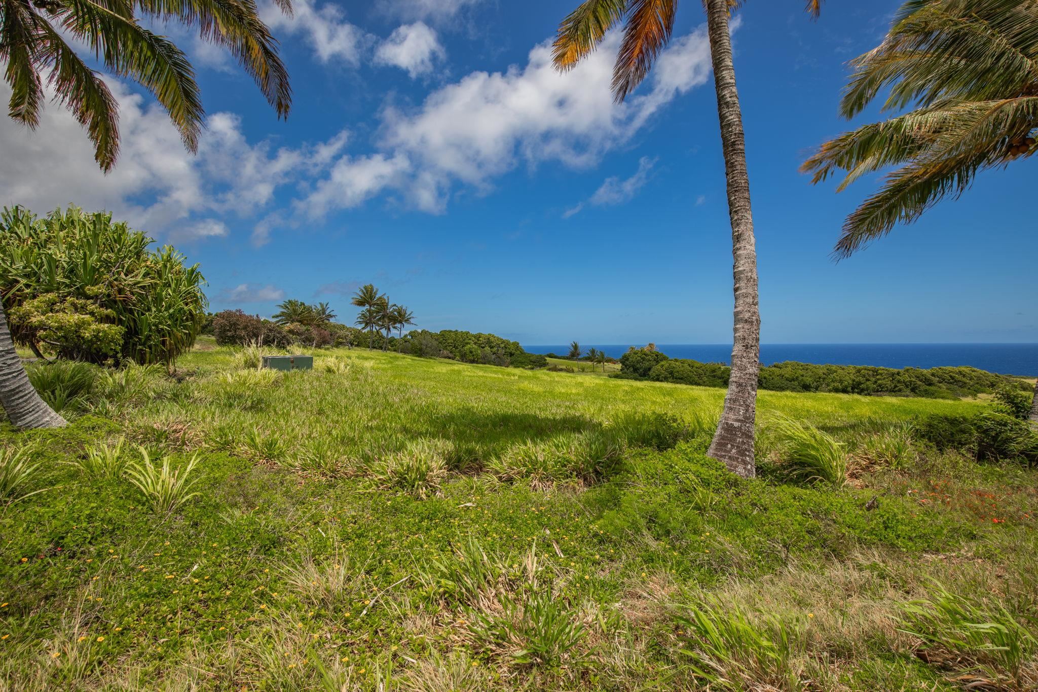 580 Kai Huki Cir B Haiku, Hi vacant land for sale - photo 8 of 12