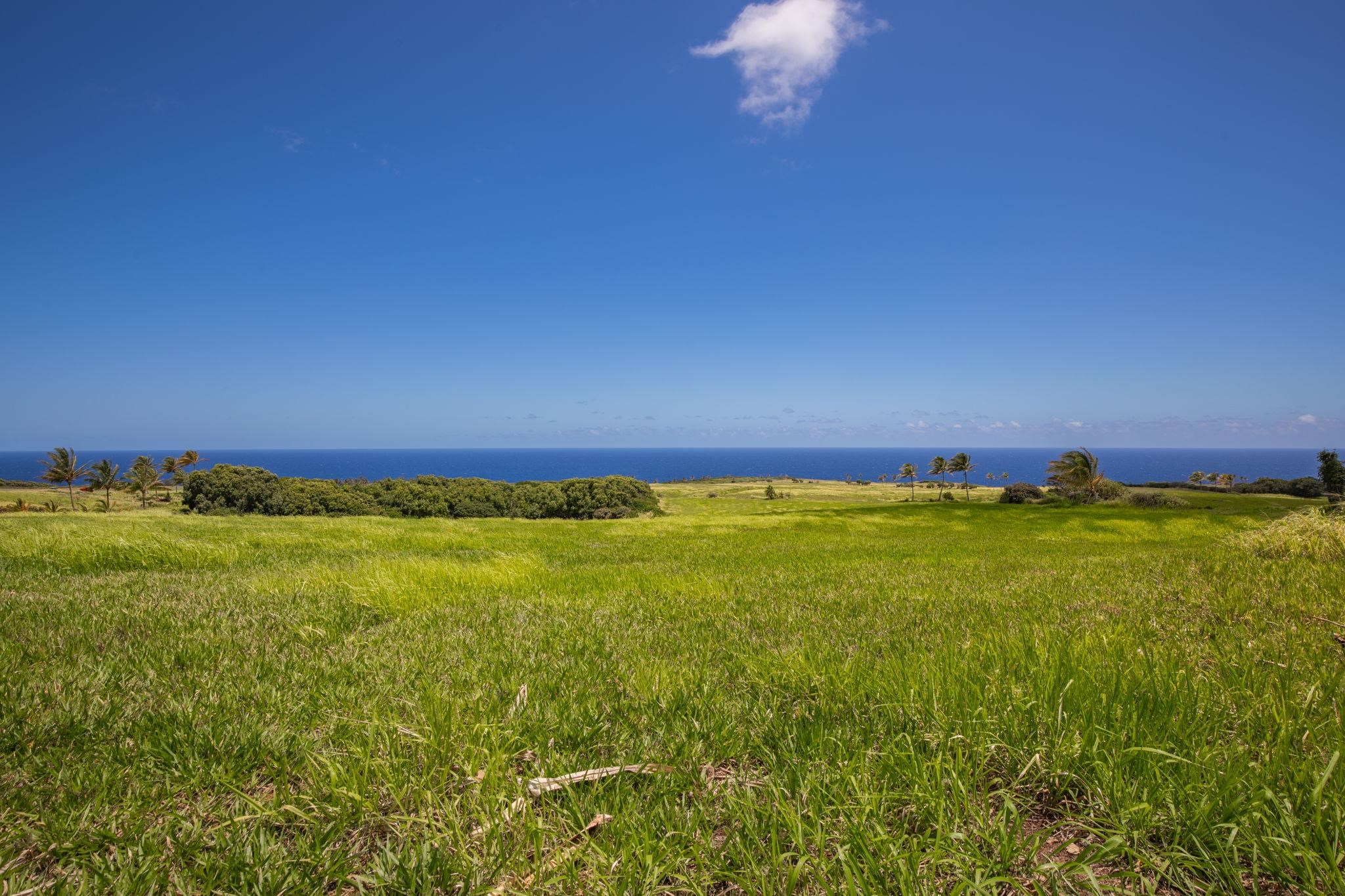 580 Kai Huki Cir B Haiku, Hi vacant land for sale - photo 9 of 12