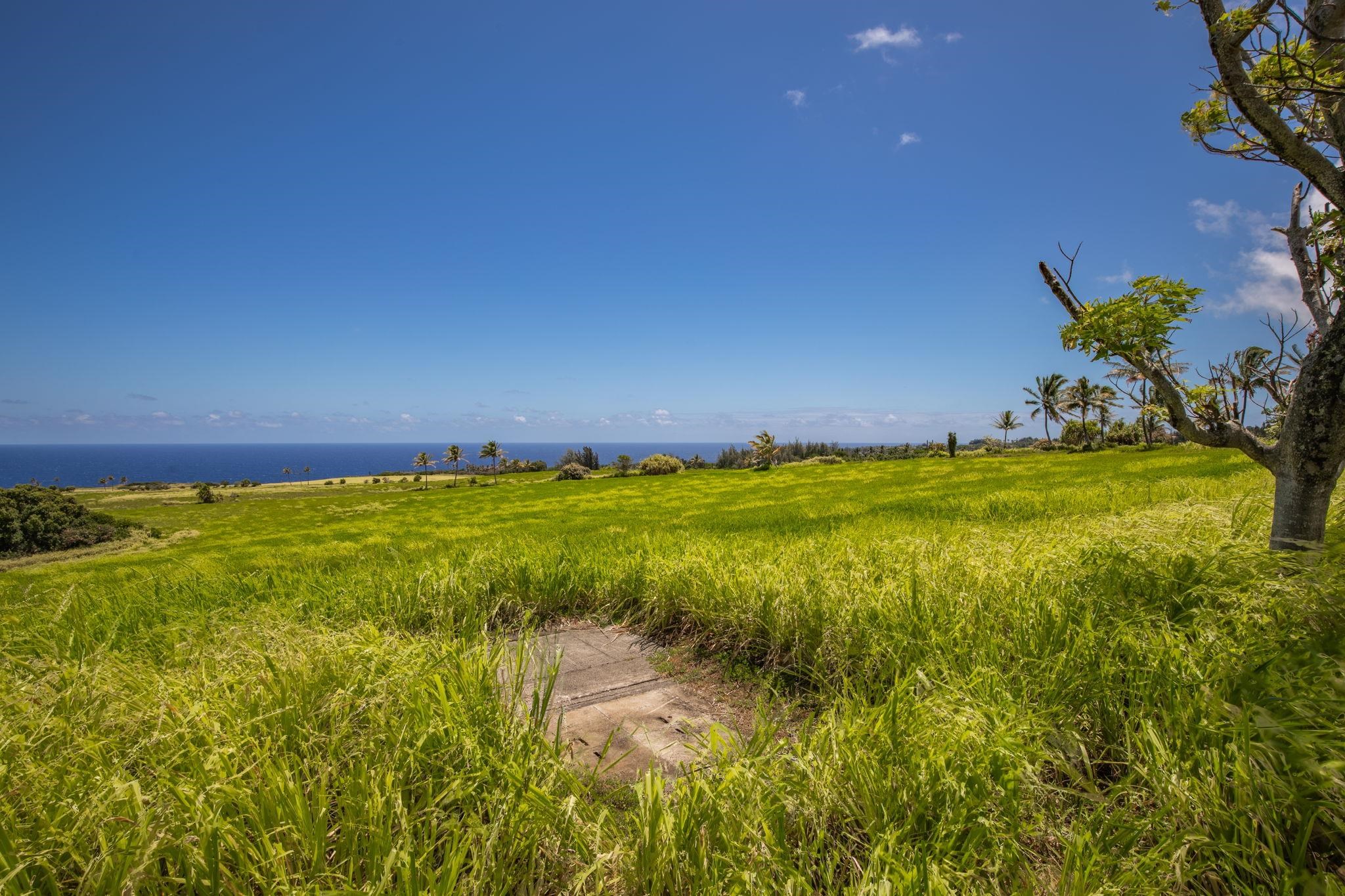 580 Kai Huki Cir B Haiku, Hi vacant land for sale - photo 10 of 12