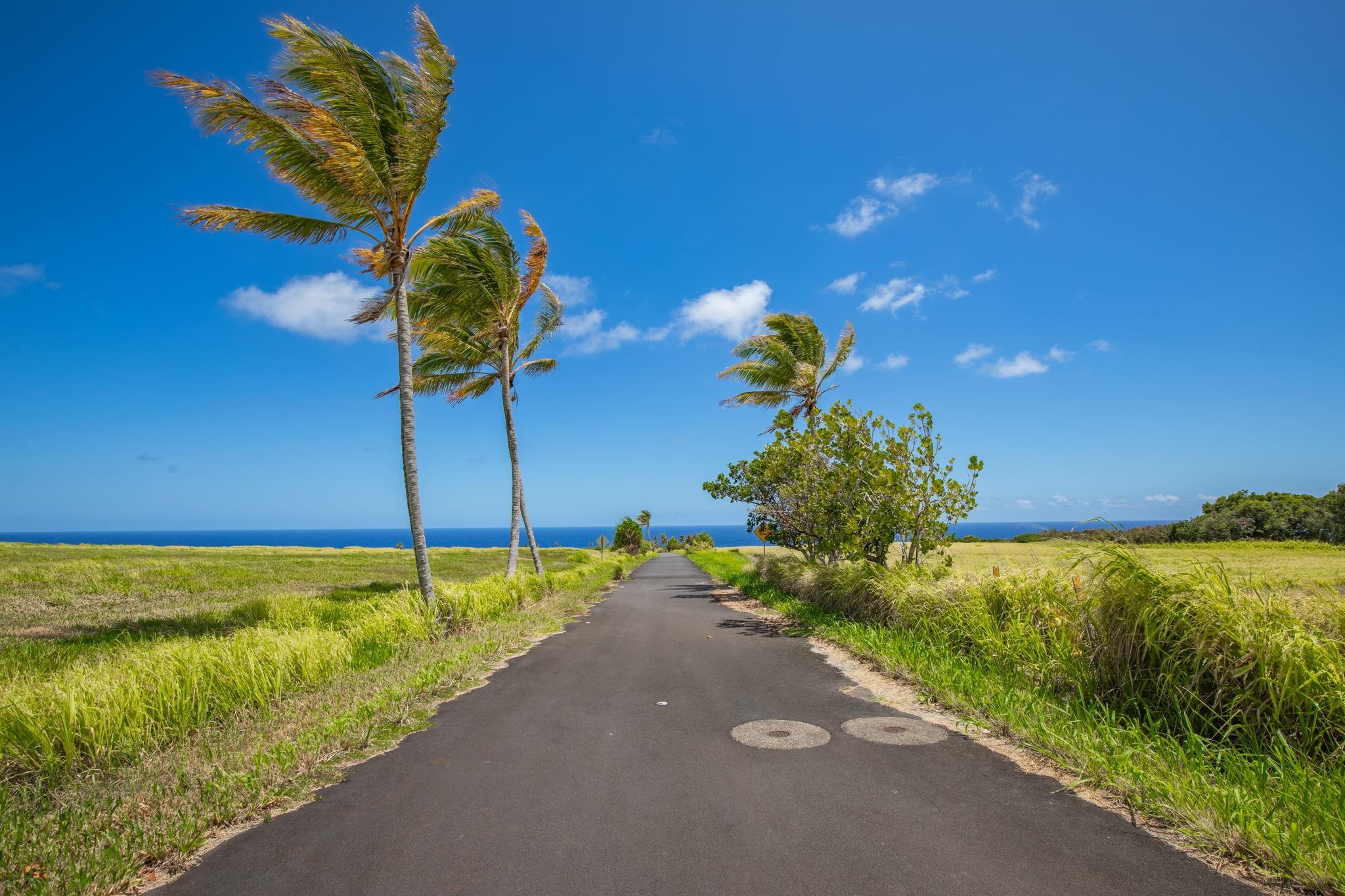 580 Kai Huki Cir Haiku  - photo 4 of 7