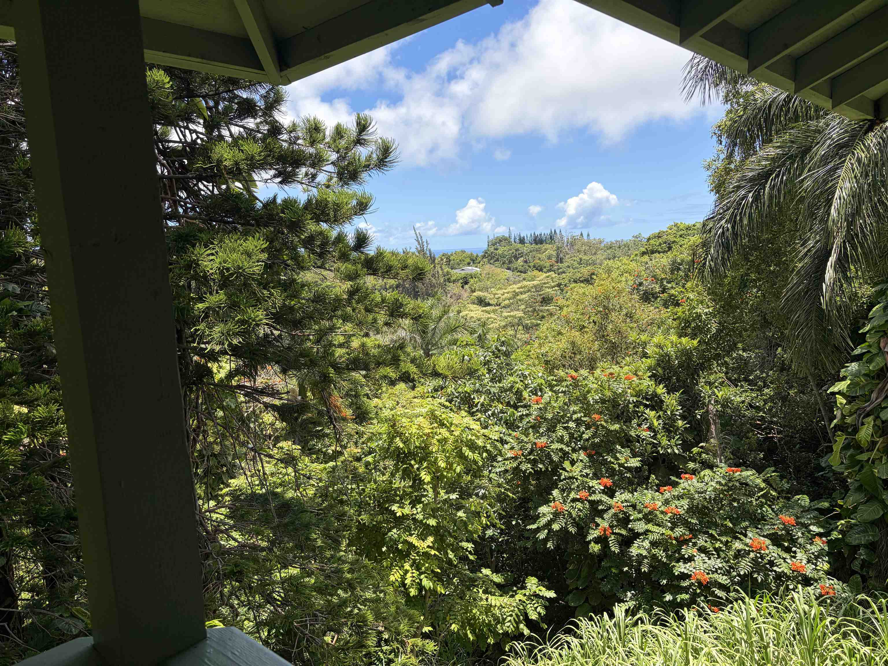 580  W Kuiaha Rd , Haiku home - photo 12 of 30