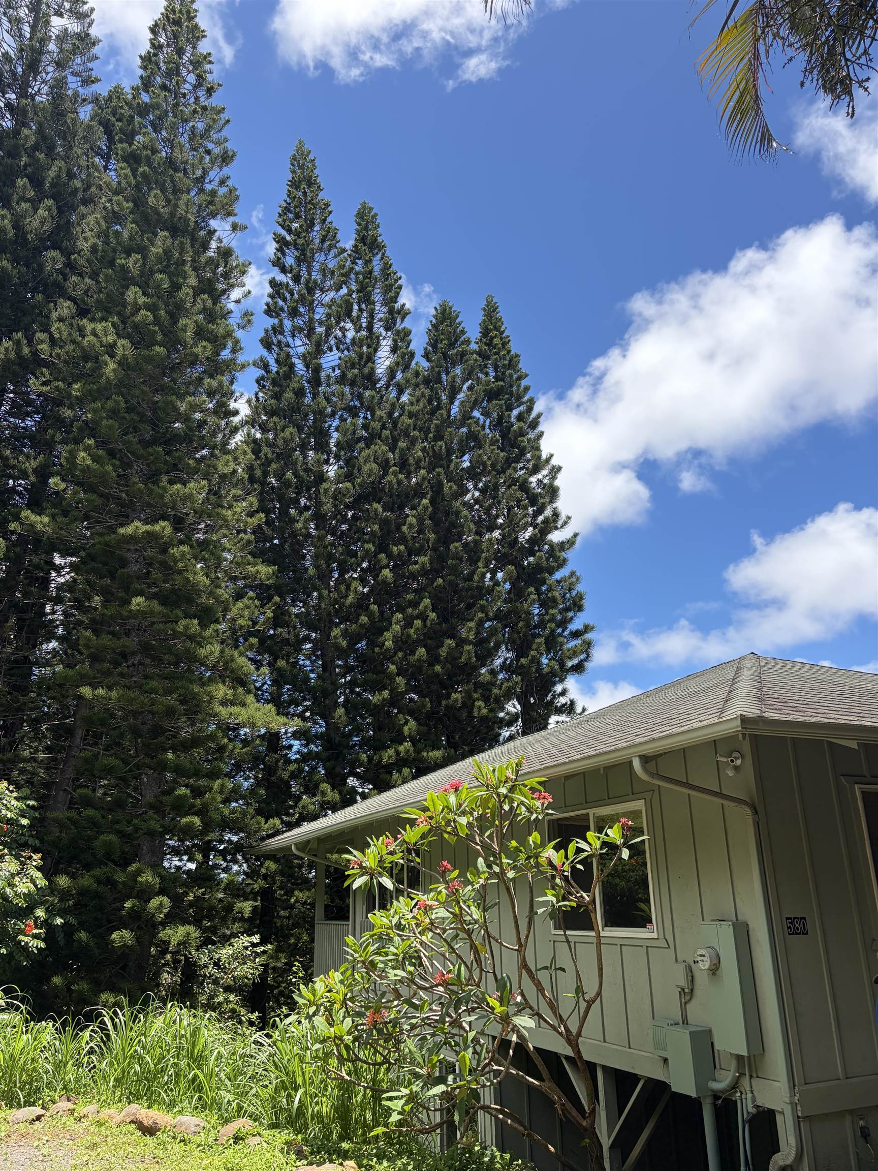 580  W Kuiaha Rd , Haiku home - photo 5 of 30