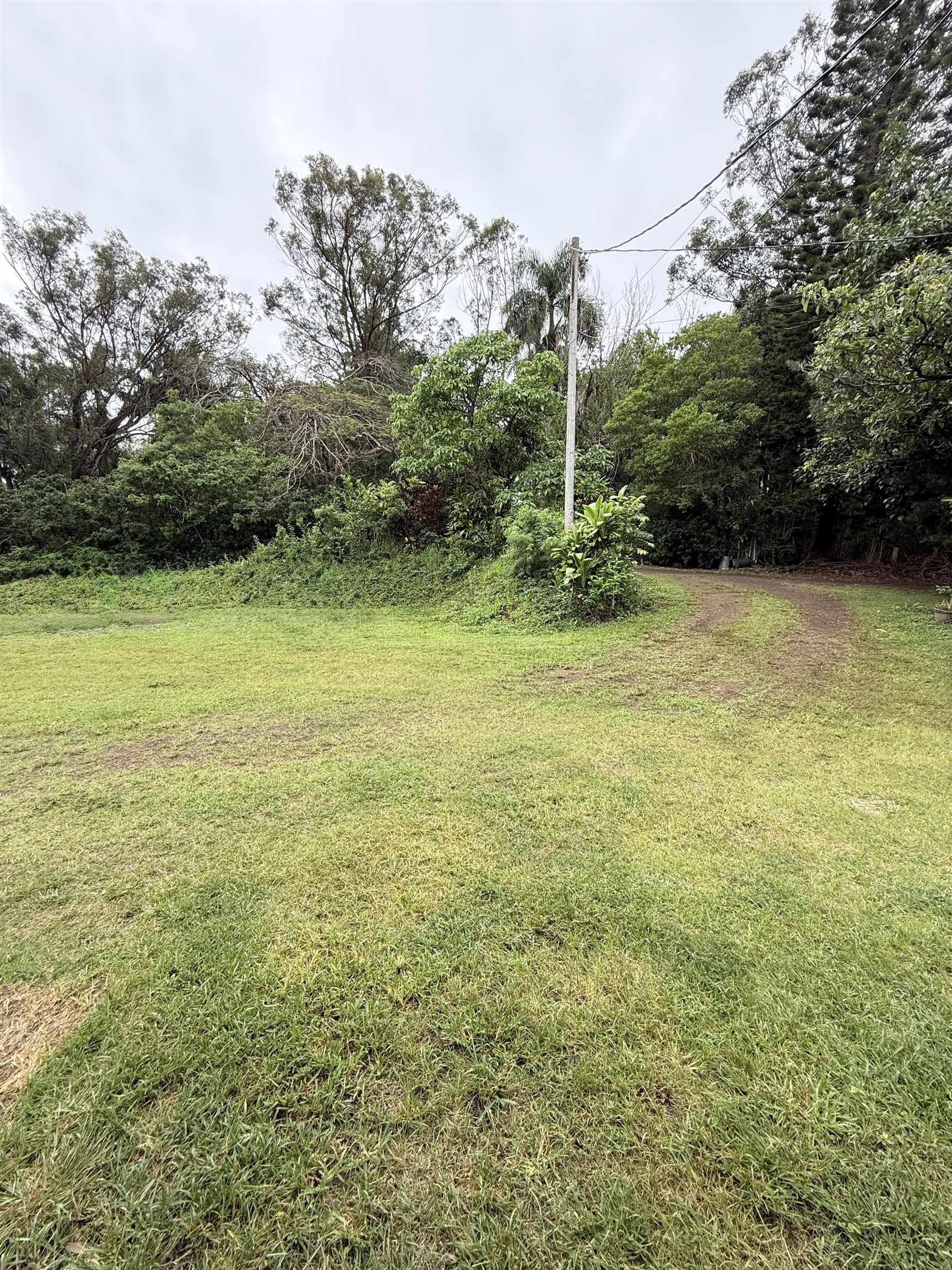 580-A  Lihau Pl , Haiku home - photo 13 of 19