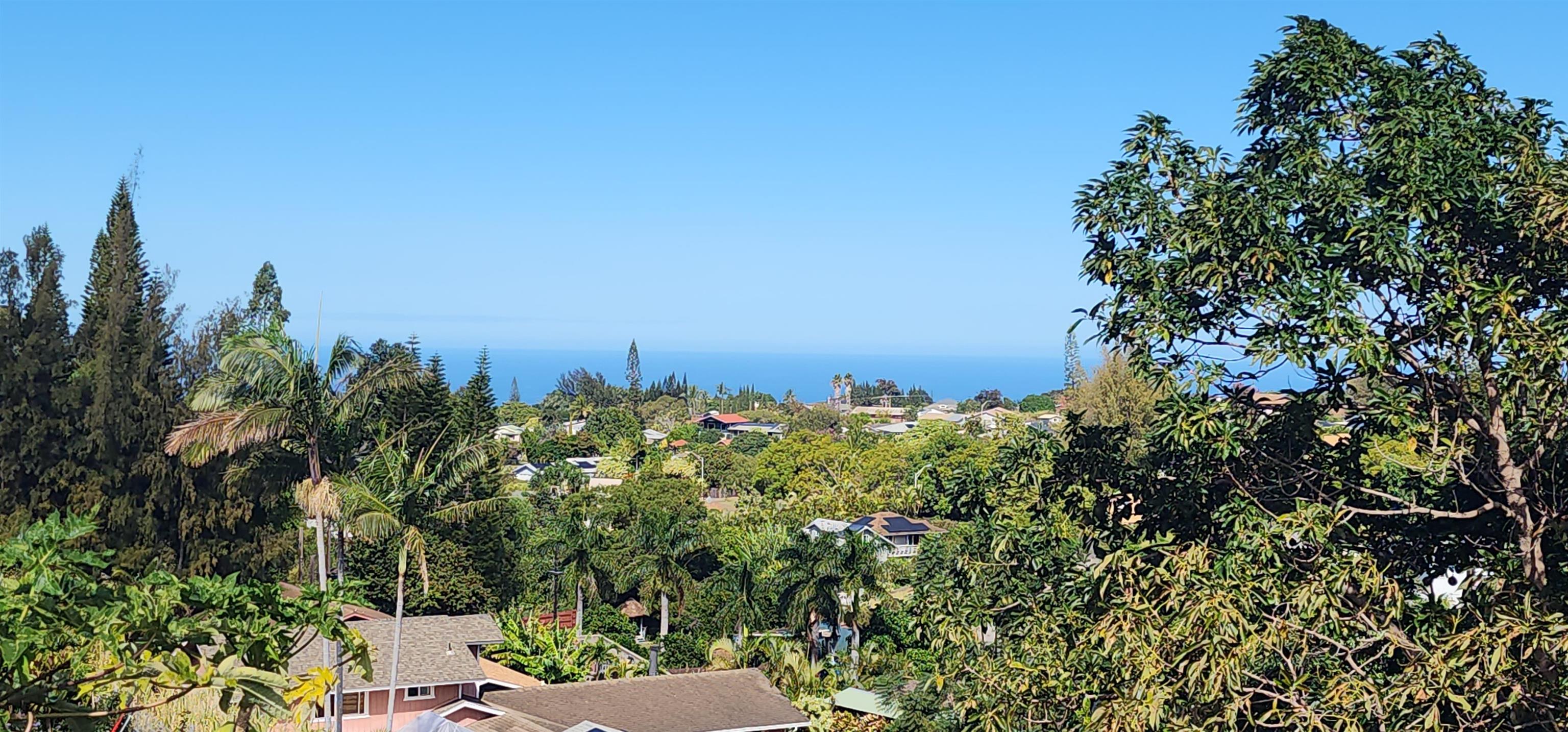 583  Laie Dr , Makawao/Olinda/Haliimaile home - photo 13 of 44