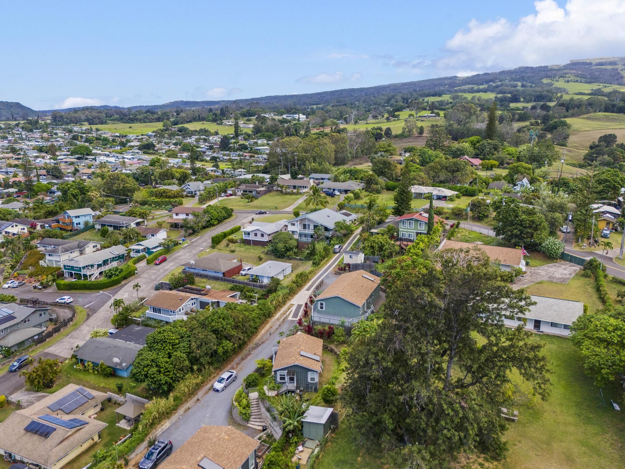 583  Laie Dr , Makawao/Olinda/Haliimaile home - photo 43 of 49