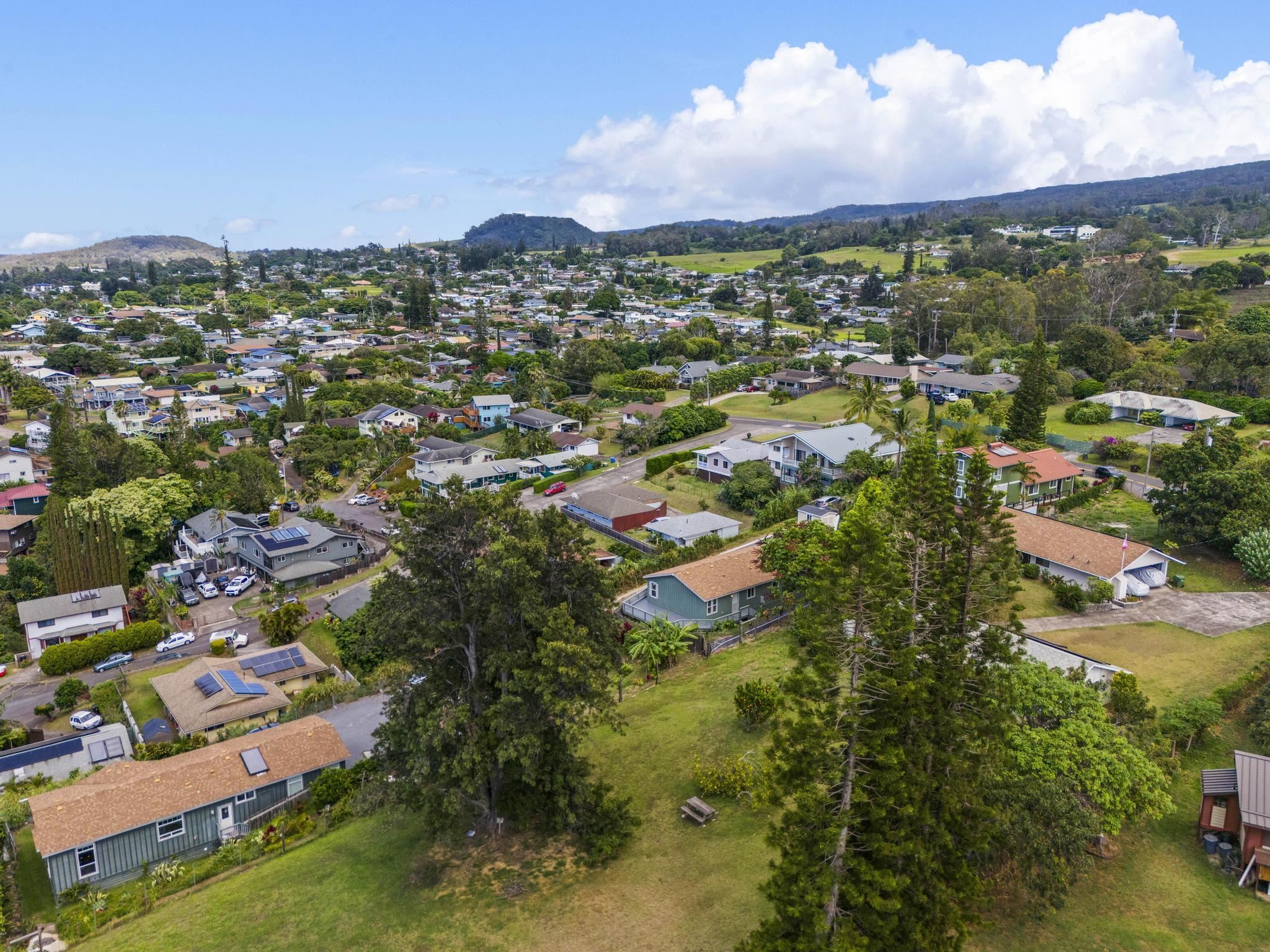 583  Laie Dr , Makawao/Olinda/Haliimaile home - photo 44 of 49