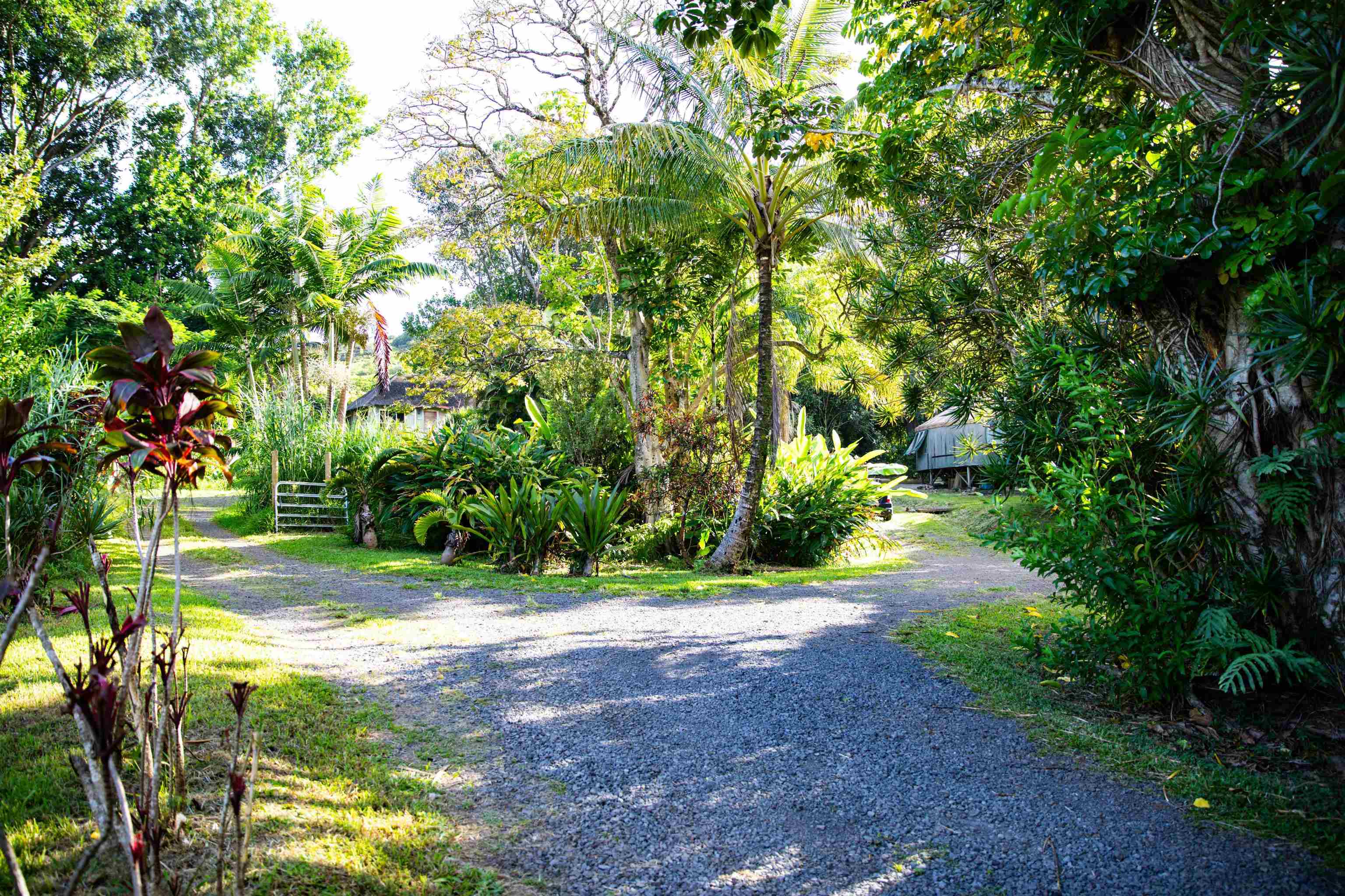 585  Kaupakalua Rd , Haiku home - photo 4 of 28