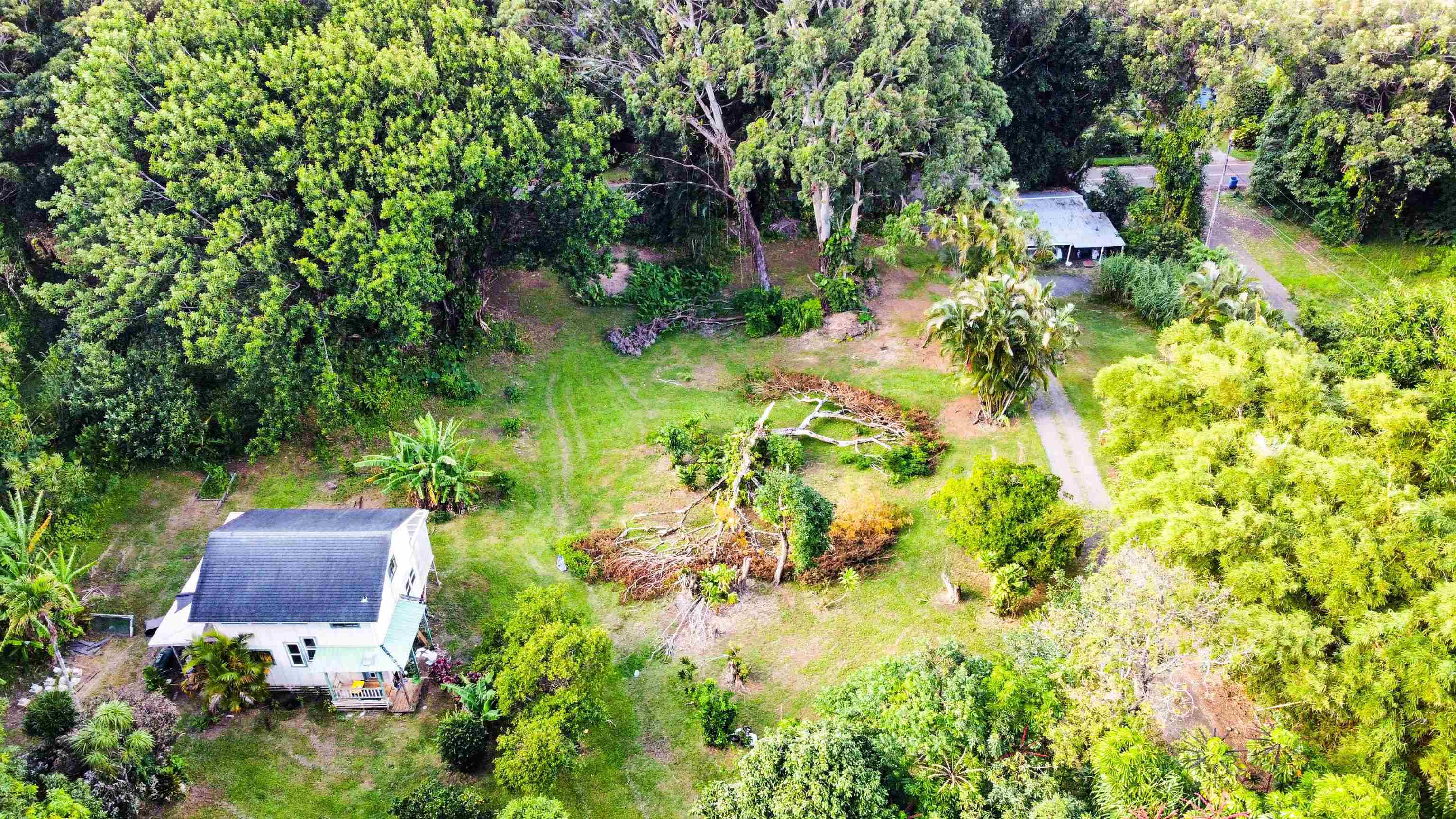 585  Kaupakalua Rd , Haiku home - photo 5 of 28