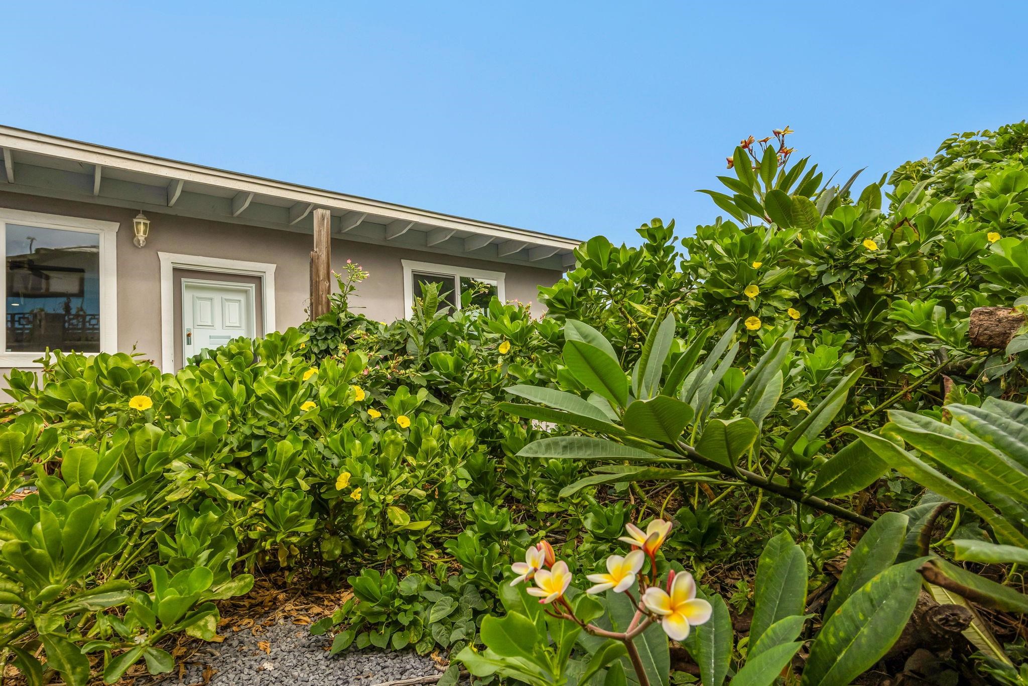 585  Linekona Pl , Wailuku home - photo 32 of 50