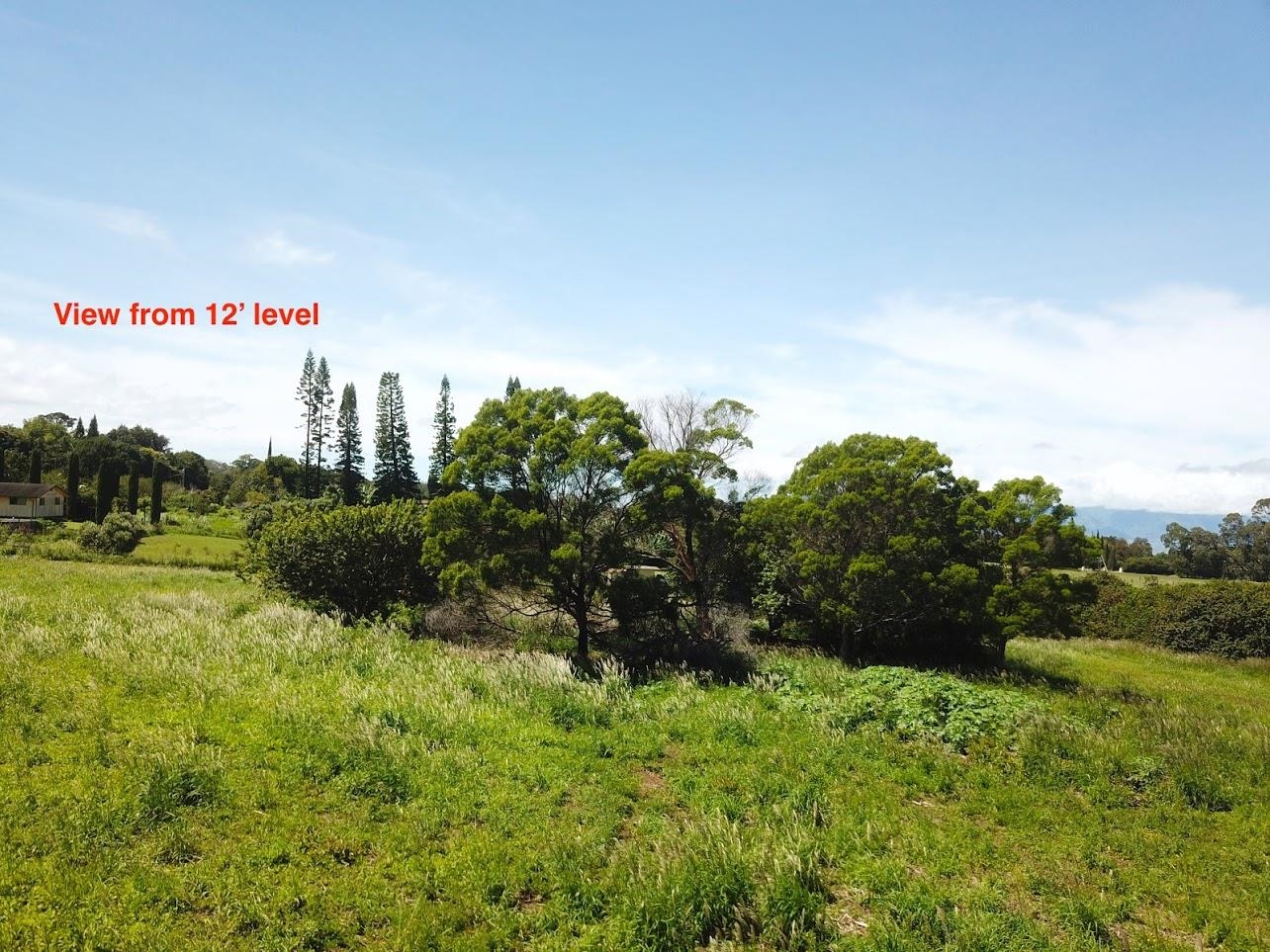 585 Olinda Rd  Makawao, Hi vacant land for sale - photo 8 of 15