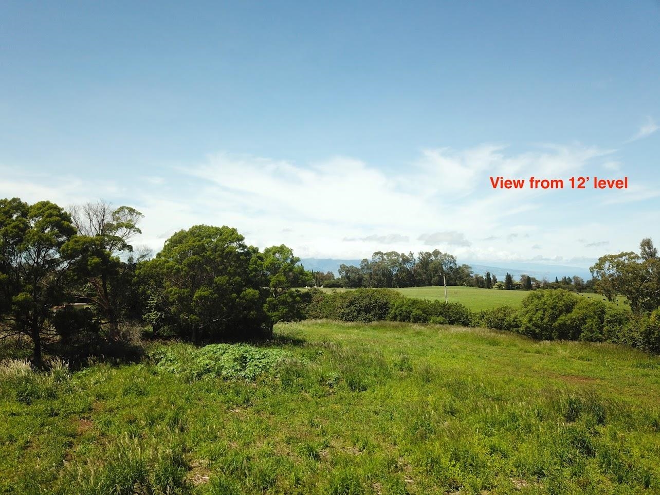 585 Olinda Rd  Makawao, Hi vacant land for sale - photo 9 of 15