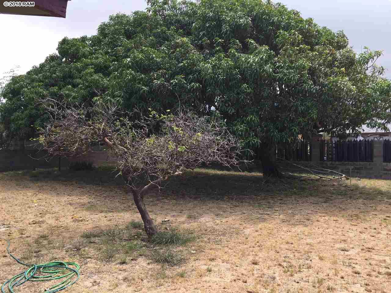 586  Kaulana St Eleventh Increment, Kahului home - photo 3 of 3