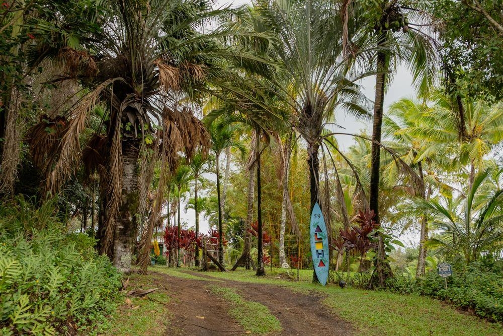 59  Door Of Faith Rd , Haiku home - photo 30 of 45