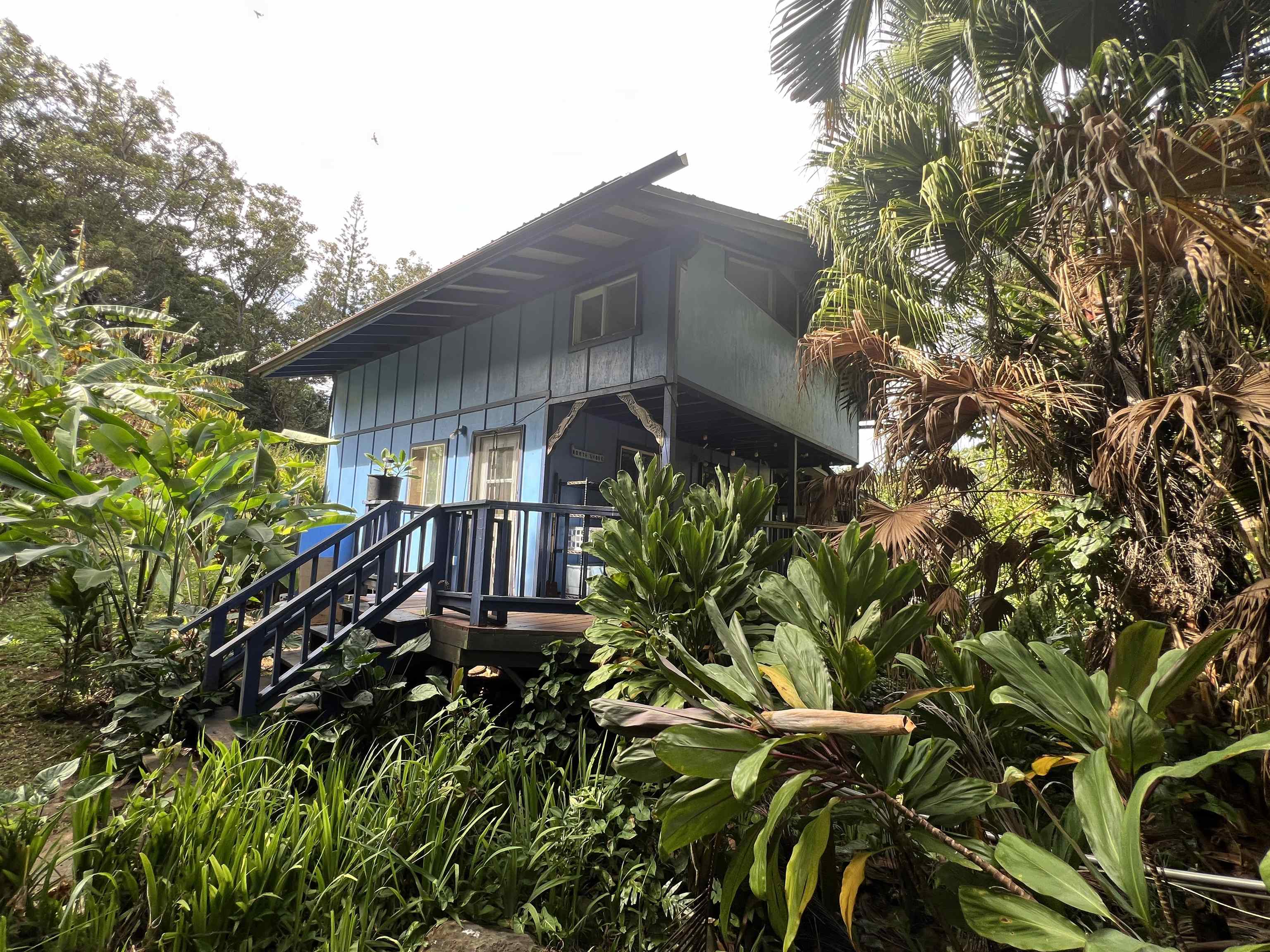 59  Door Of Faith Rd , Haiku home - photo 40 of 45