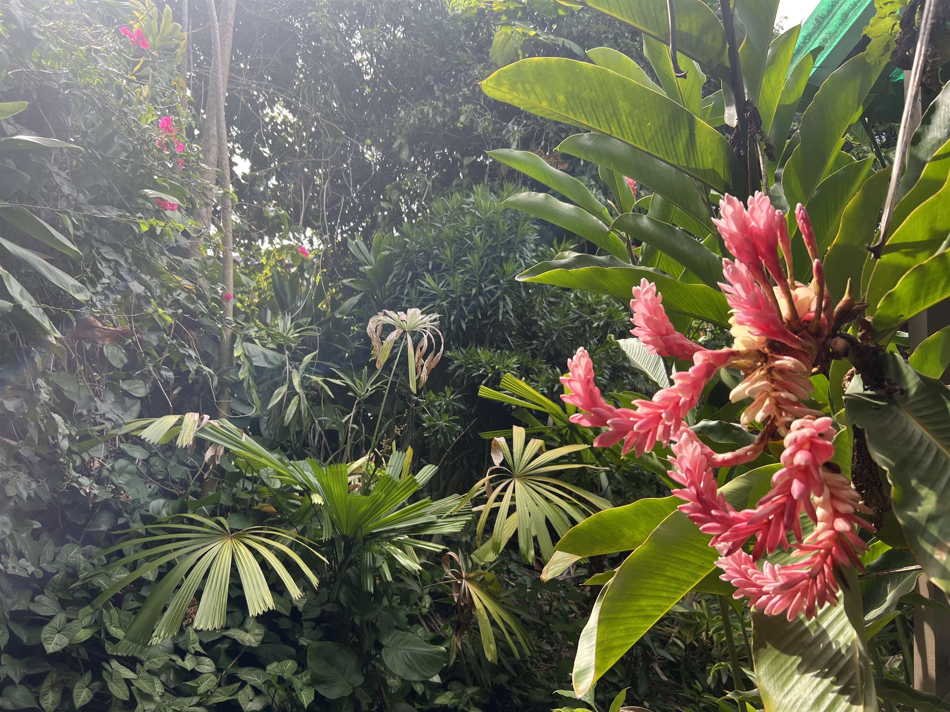 59  Door Of Faith Rd , Haiku home - photo 45 of 45