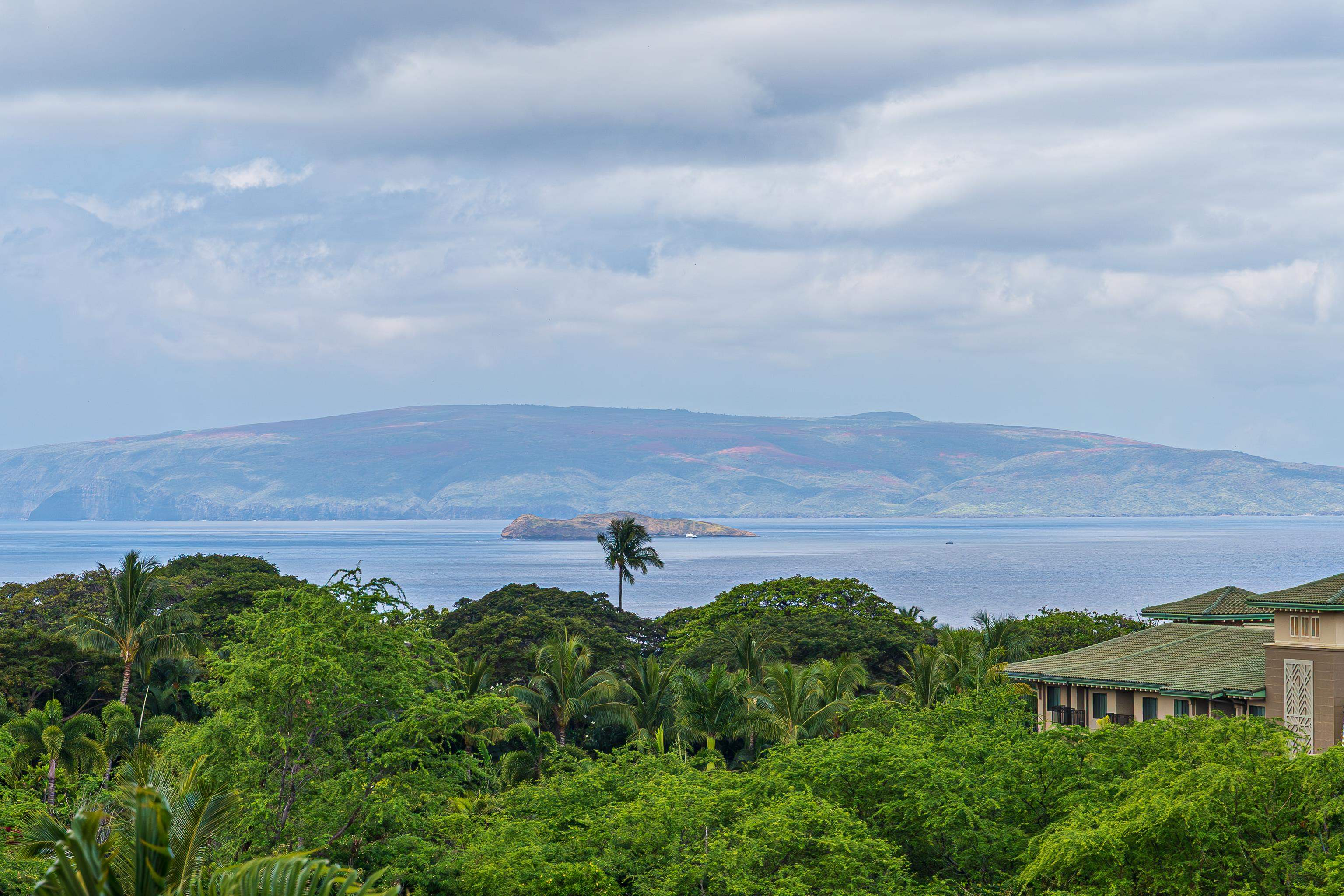 Keala O Wailea condo # 4-101, Kihei, Hawaii - photo 6 of 45