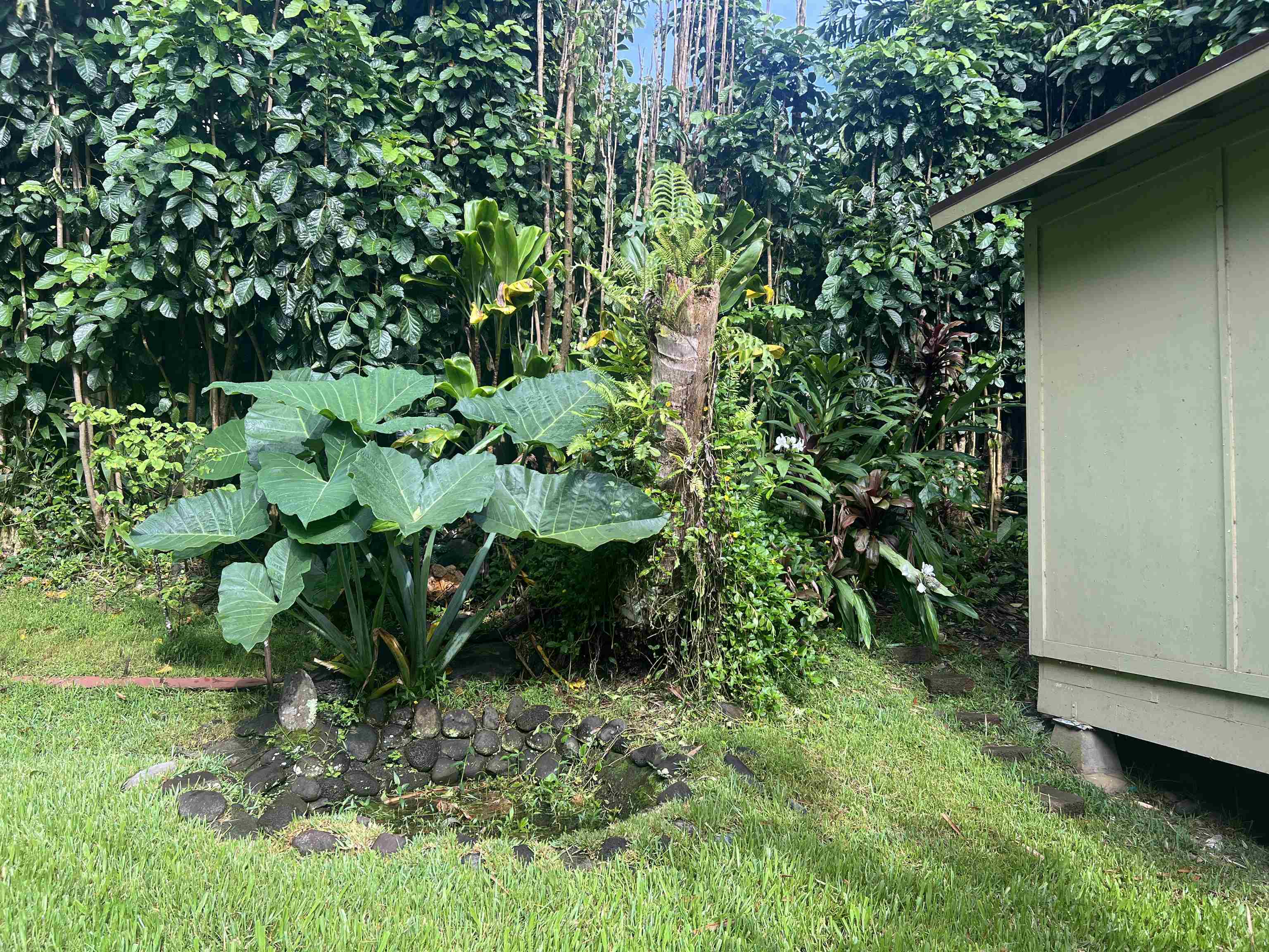 590  Kaiapa Pl , Haiku home - photo 42 of 47