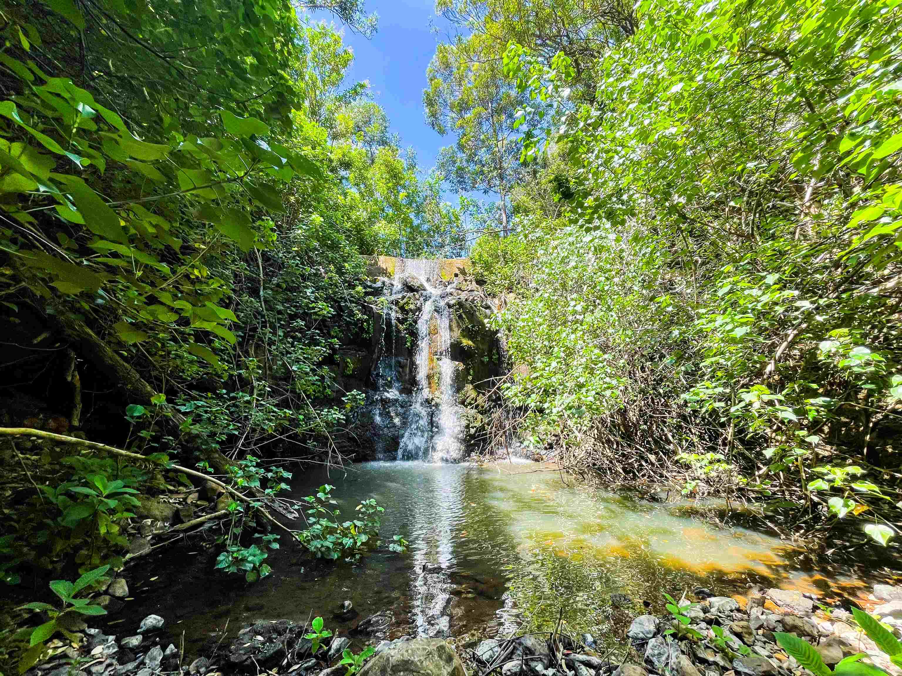 590  Kuiaha Rd , Haiku home - photo 36 of 42